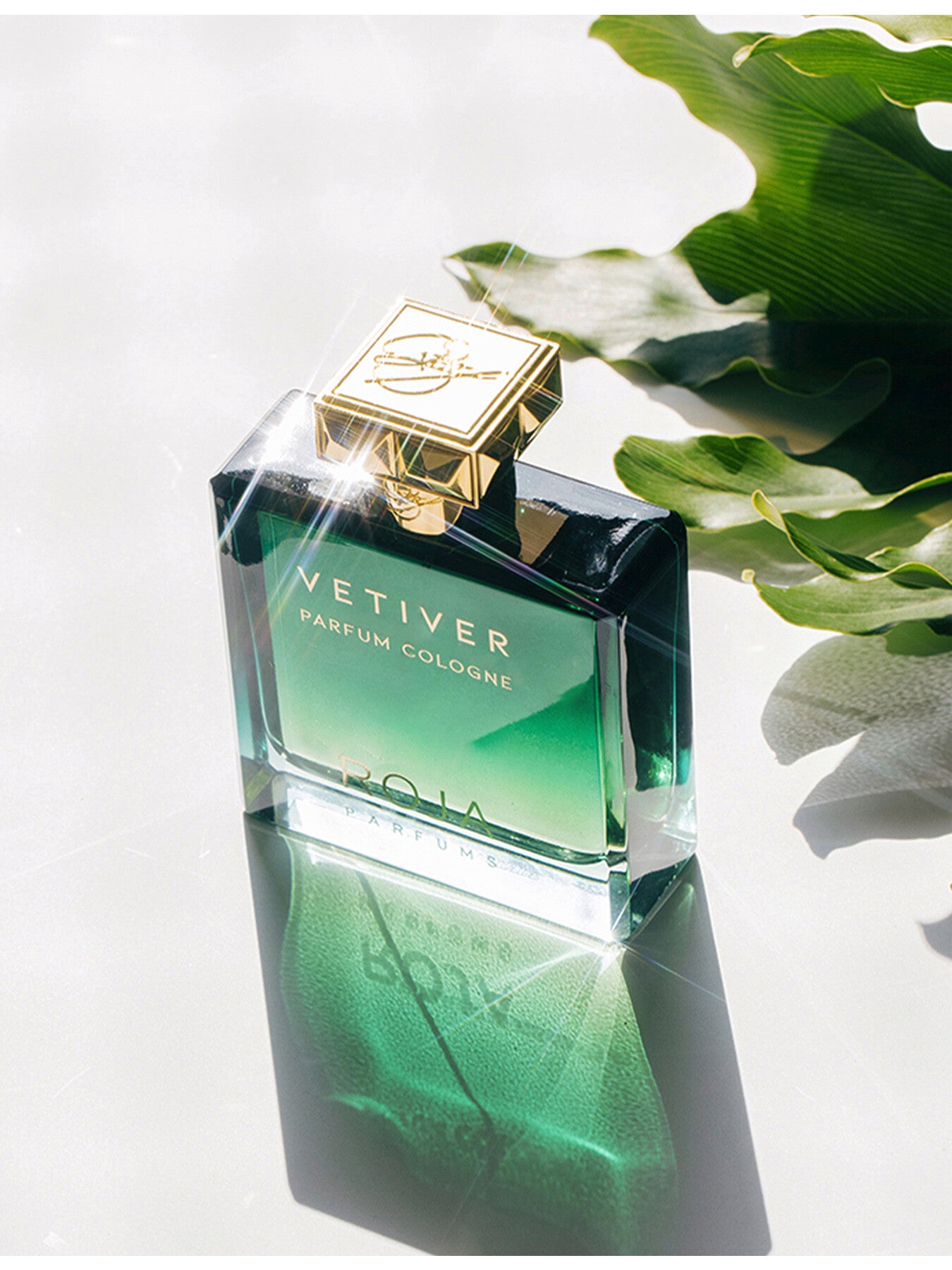 Vetiver Pour Homme Parfum Cologne 100ml