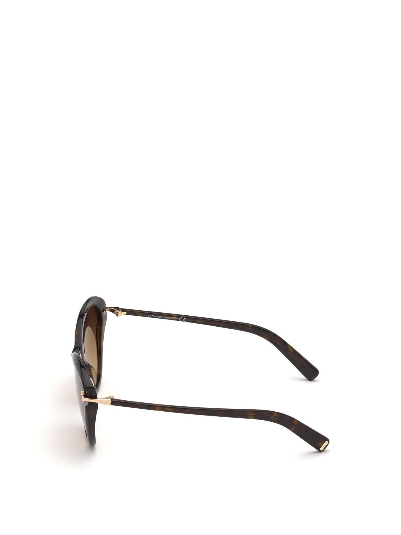 Leigh Cat Eye Acetate Sunglasses Dark HavanaGradient Brown