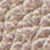 Turtle Dove