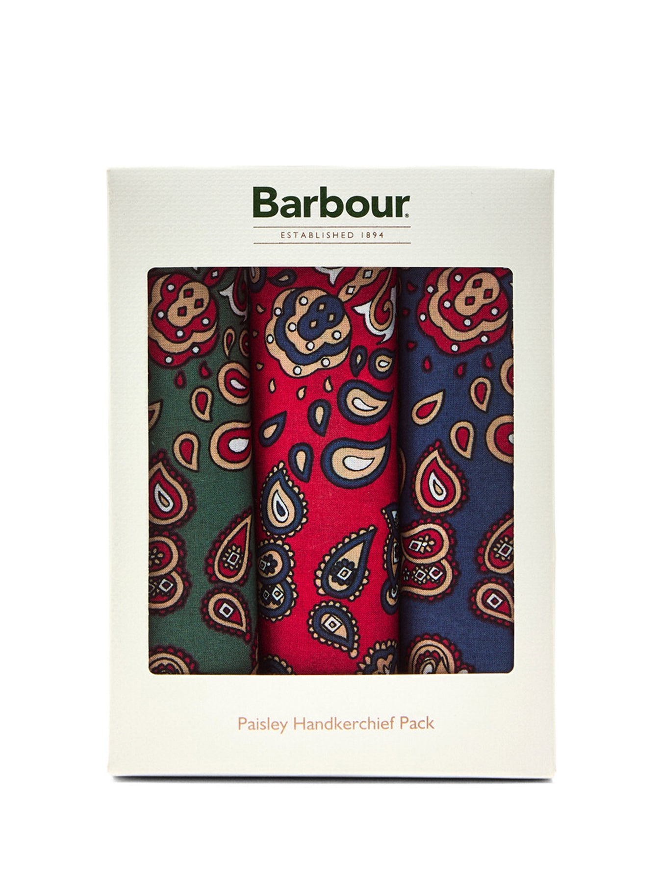 Paisley Handkerchief Pack Multi