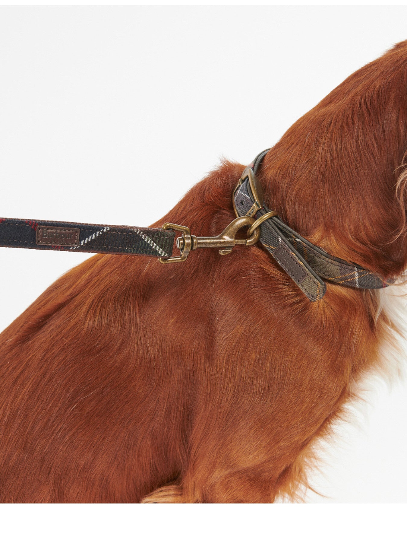 Tartan Dog Lead