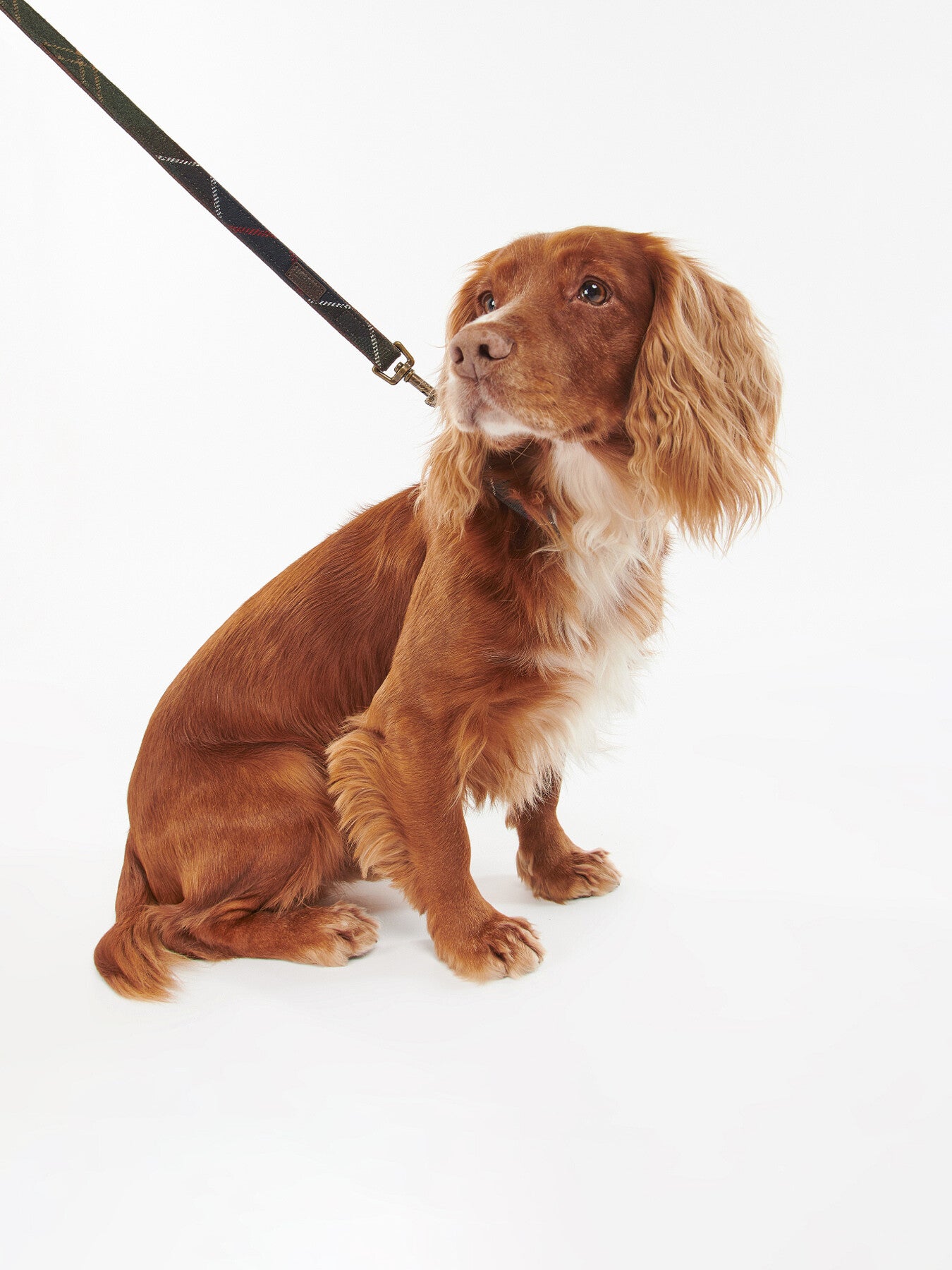 Tartan Dog Lead