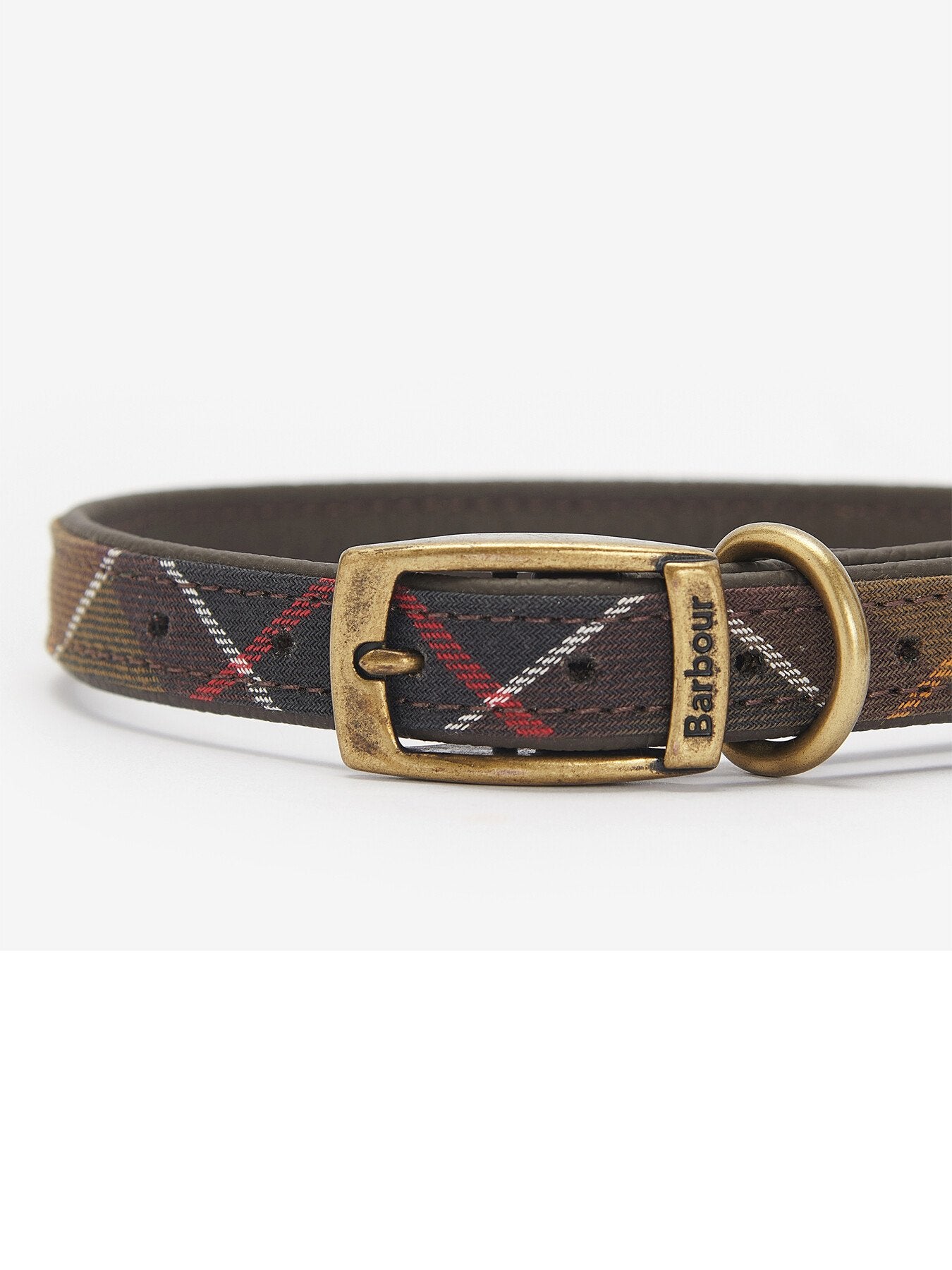 Dog Collar