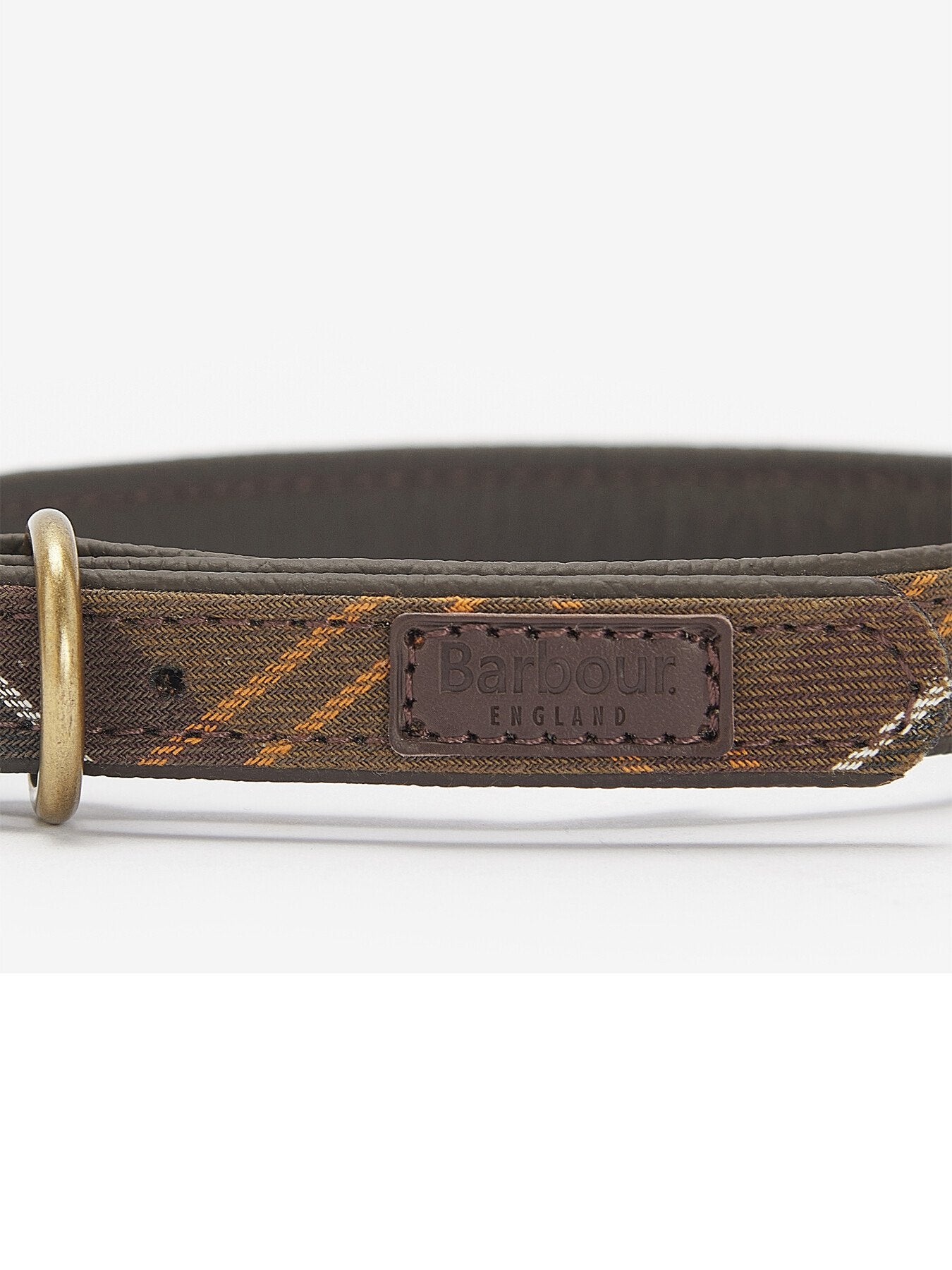 Dog Collar