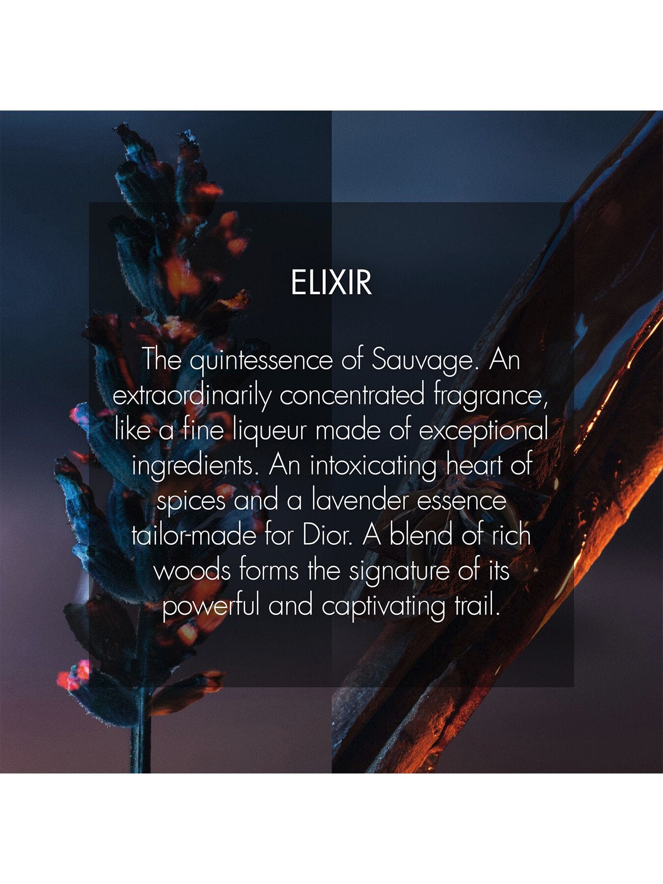 Sauvage Elixir 60ml