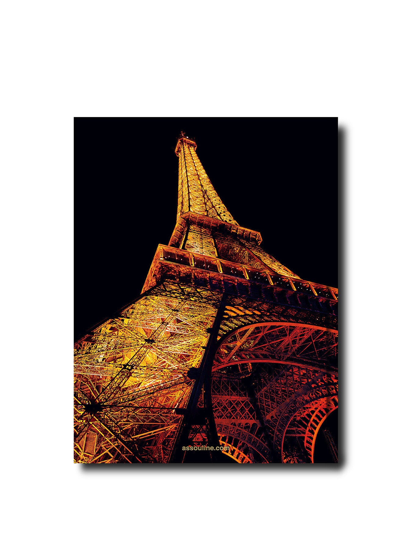 Paris Chic