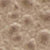 Turtledove