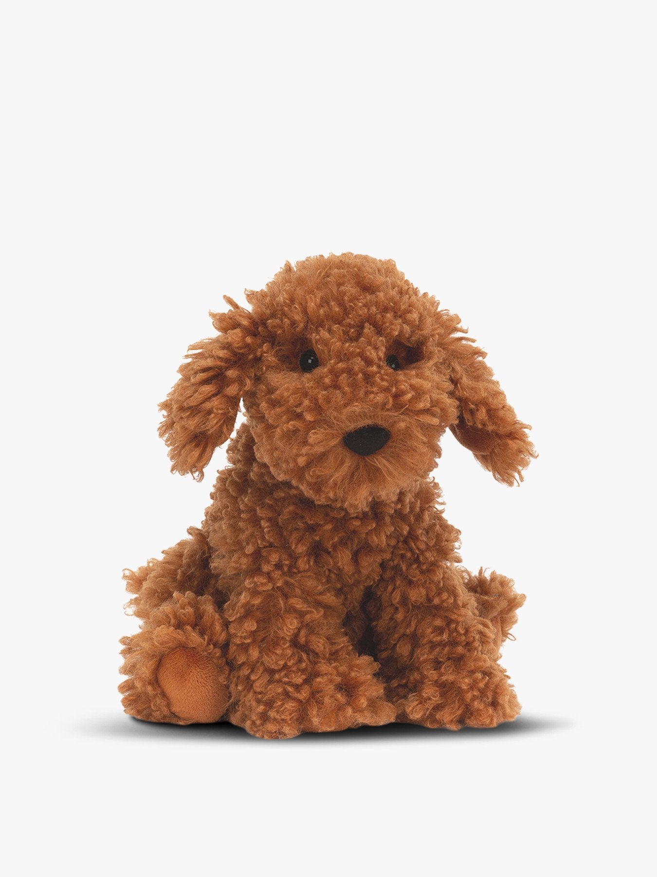 Cooper Doodle Dog