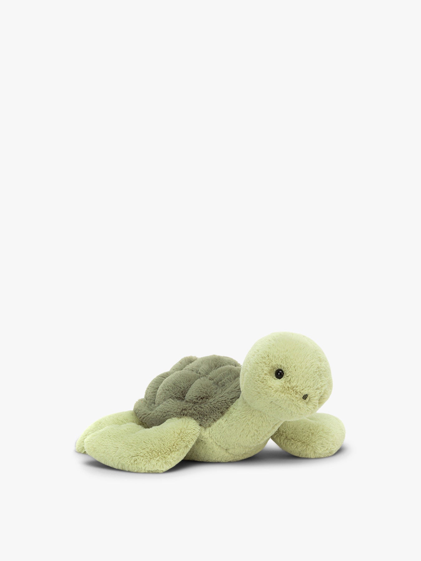 Tully Turtle