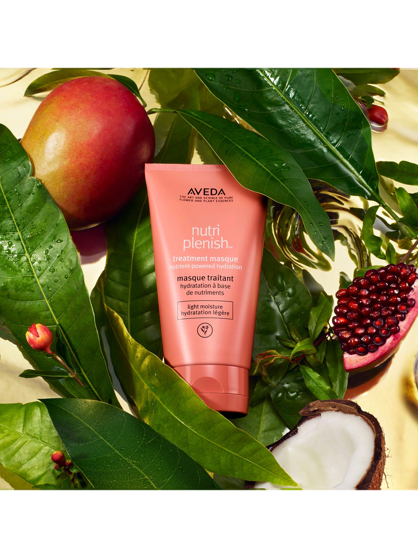 Nutriplenish Treatment Masque Light Moisture