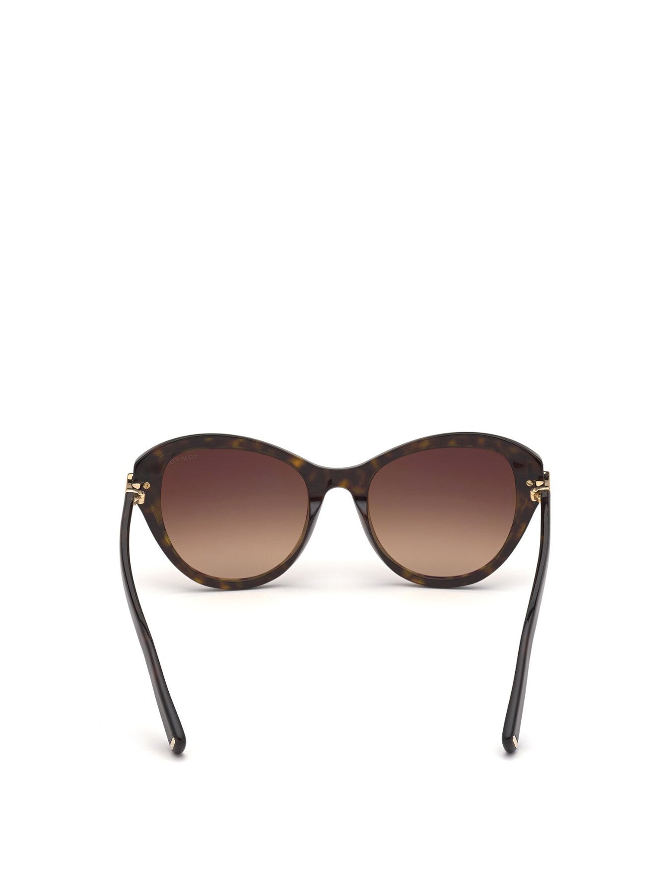Leigh Cat Eye Acetate Sunglasses