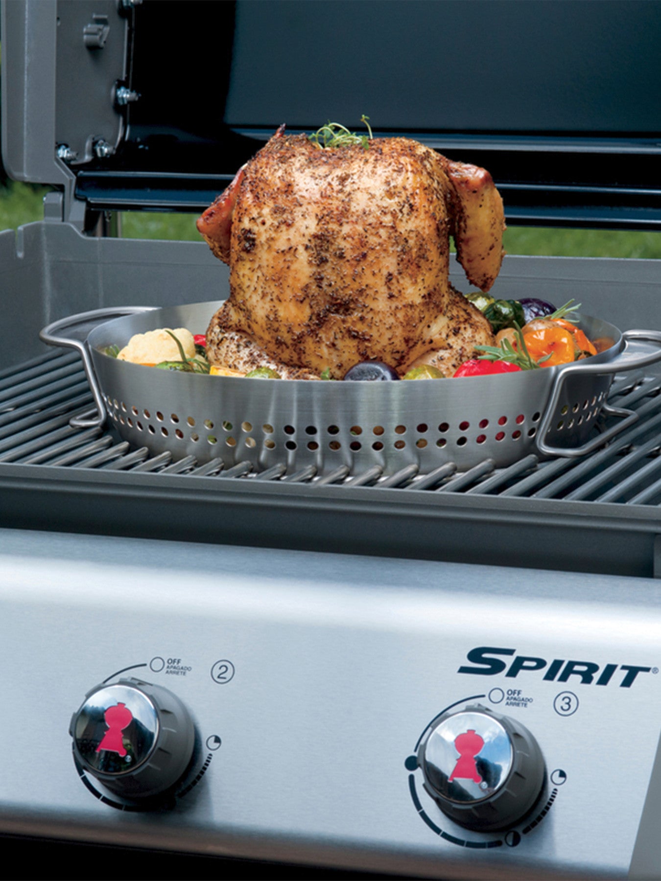 Poultry Roaster for Gourmet BBQ System