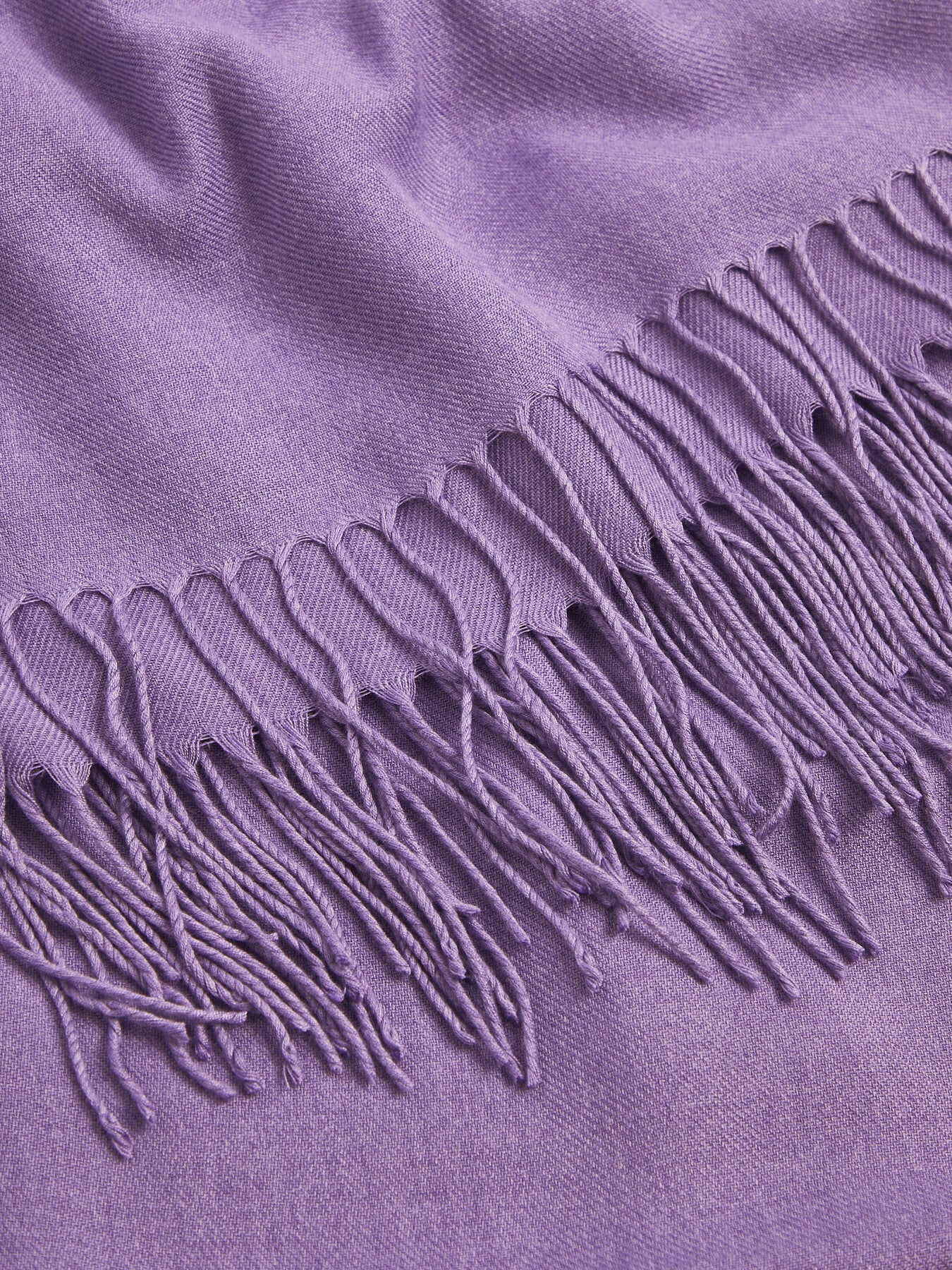 Pashmina
