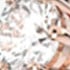 White/Rose Gold Plated