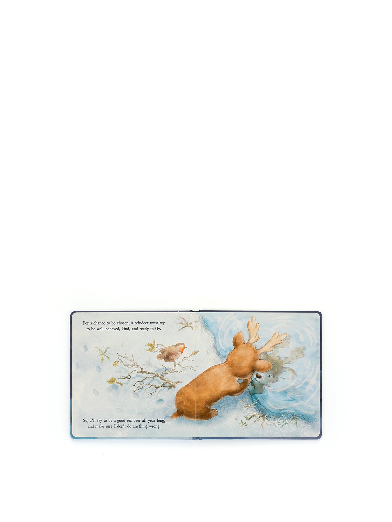 Mitzi Reindeers Dream Book
