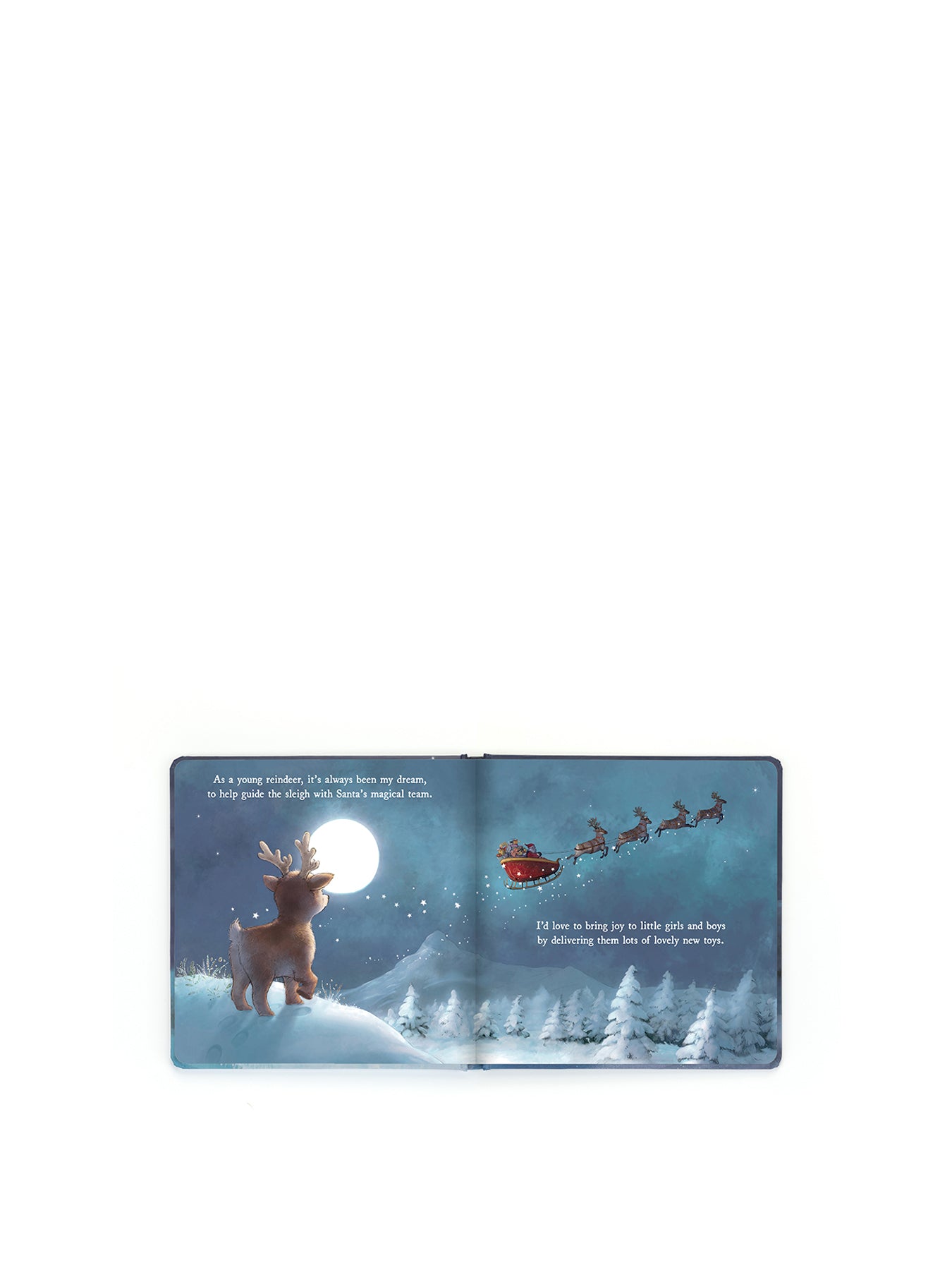 Mitzi Reindeers Dream Book