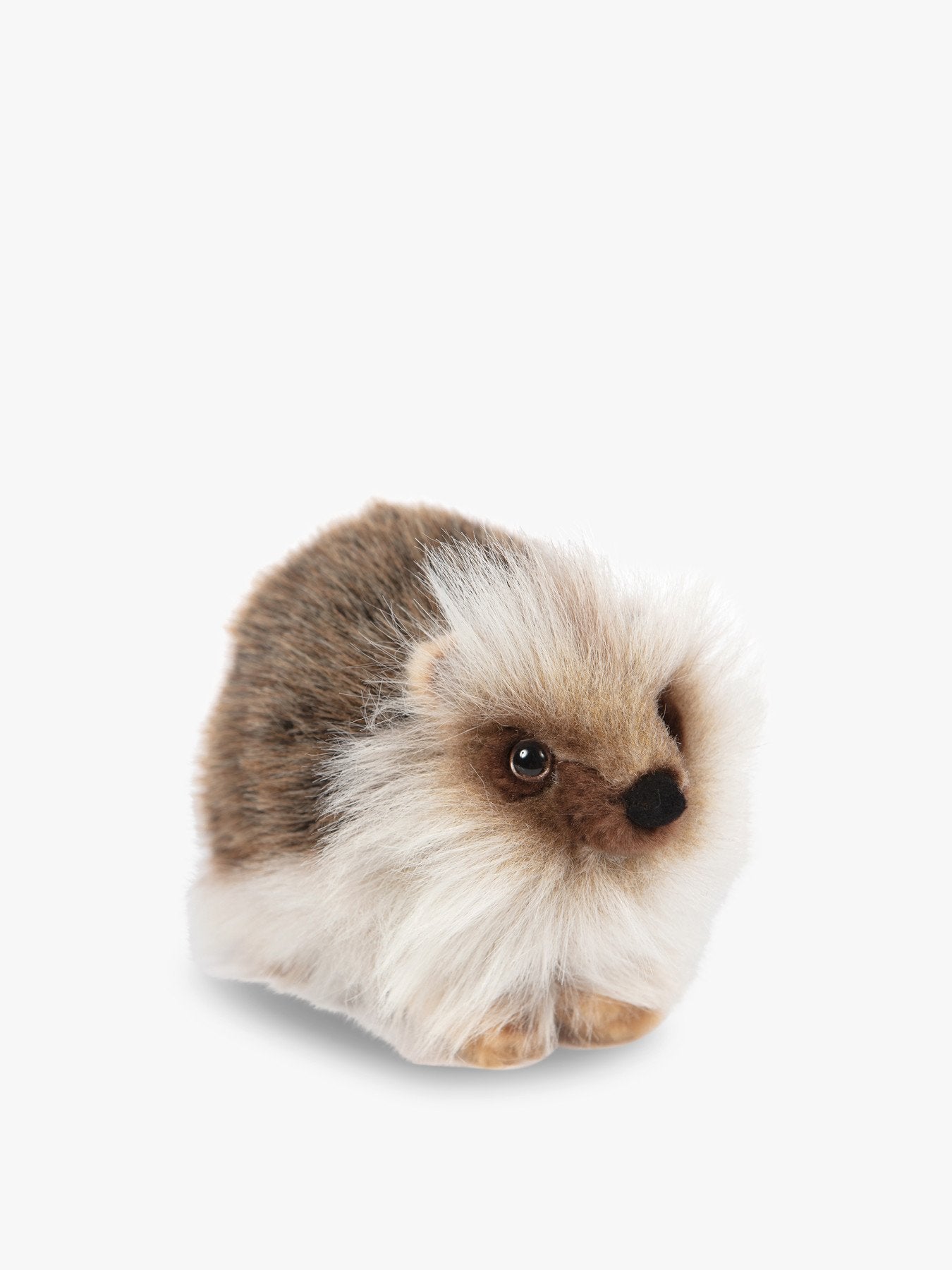 Hedgehog