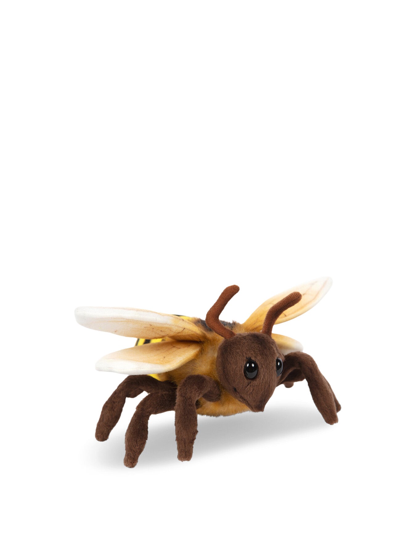 Honeybee