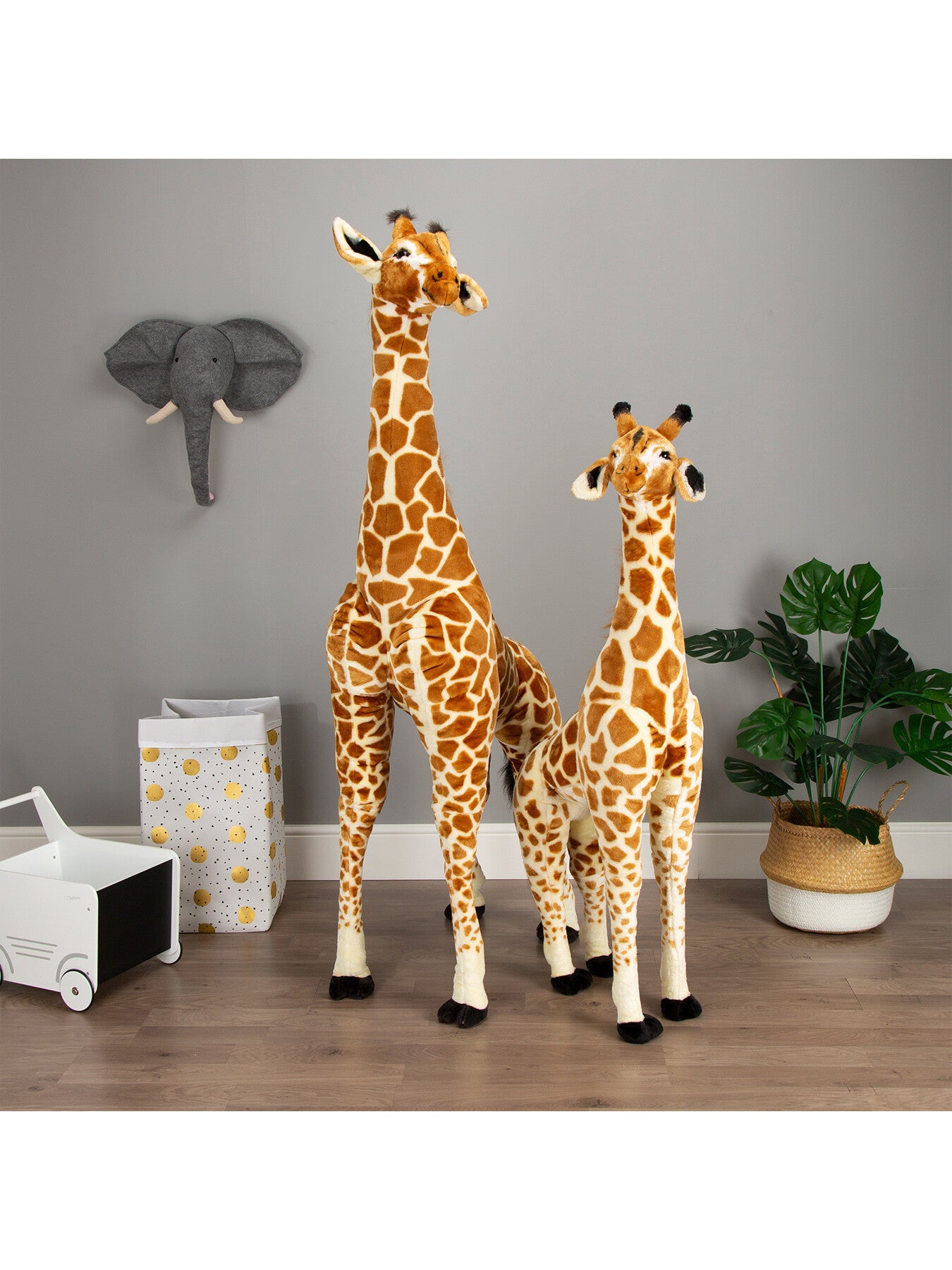 Small Giraffe