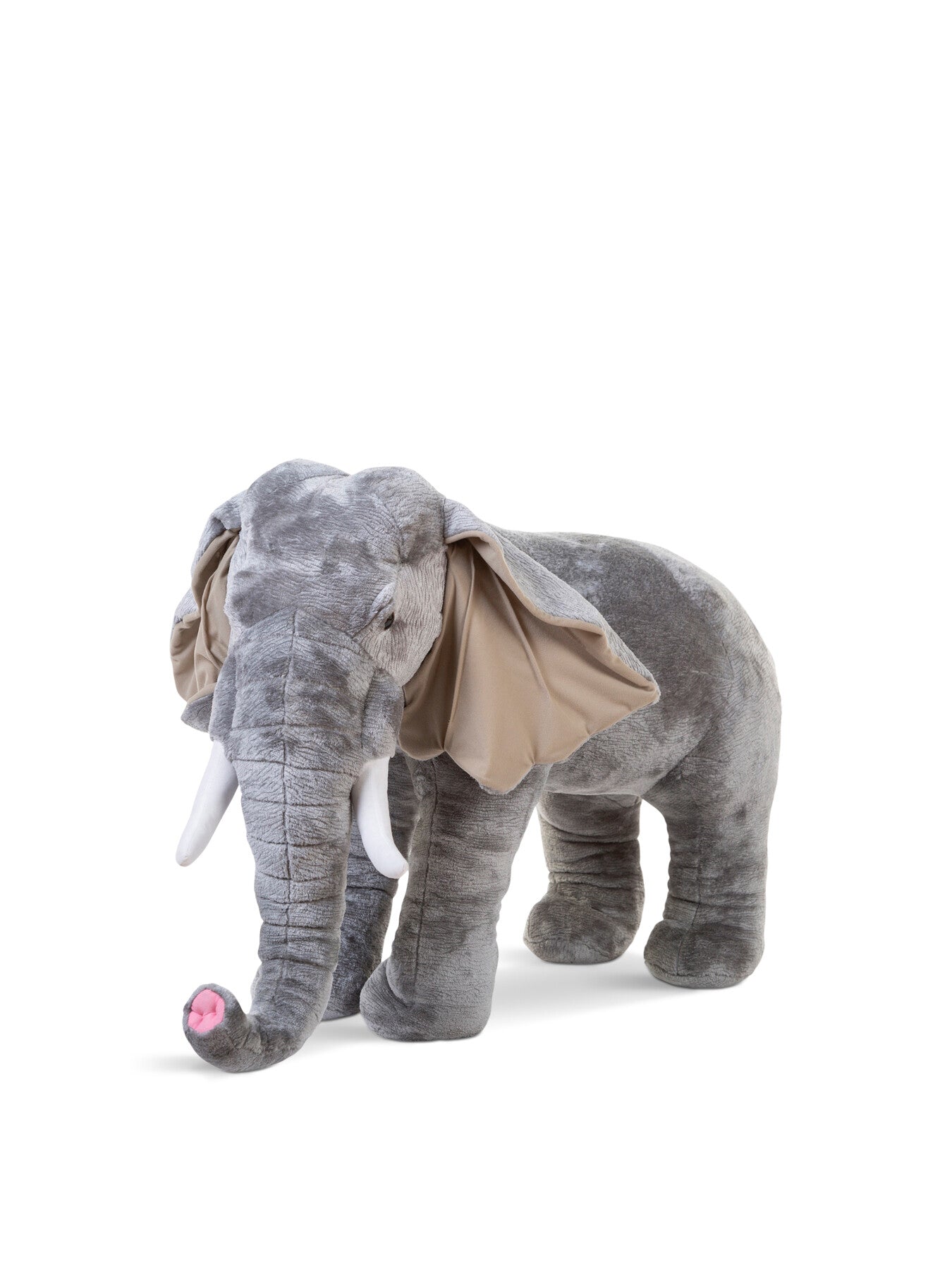 Small Elephant