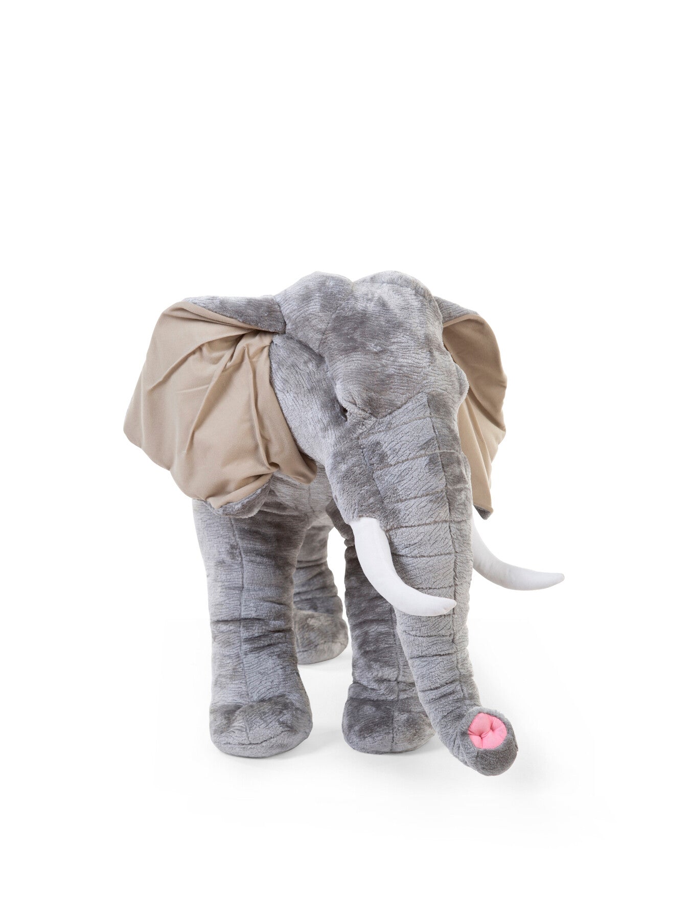Small Elephant