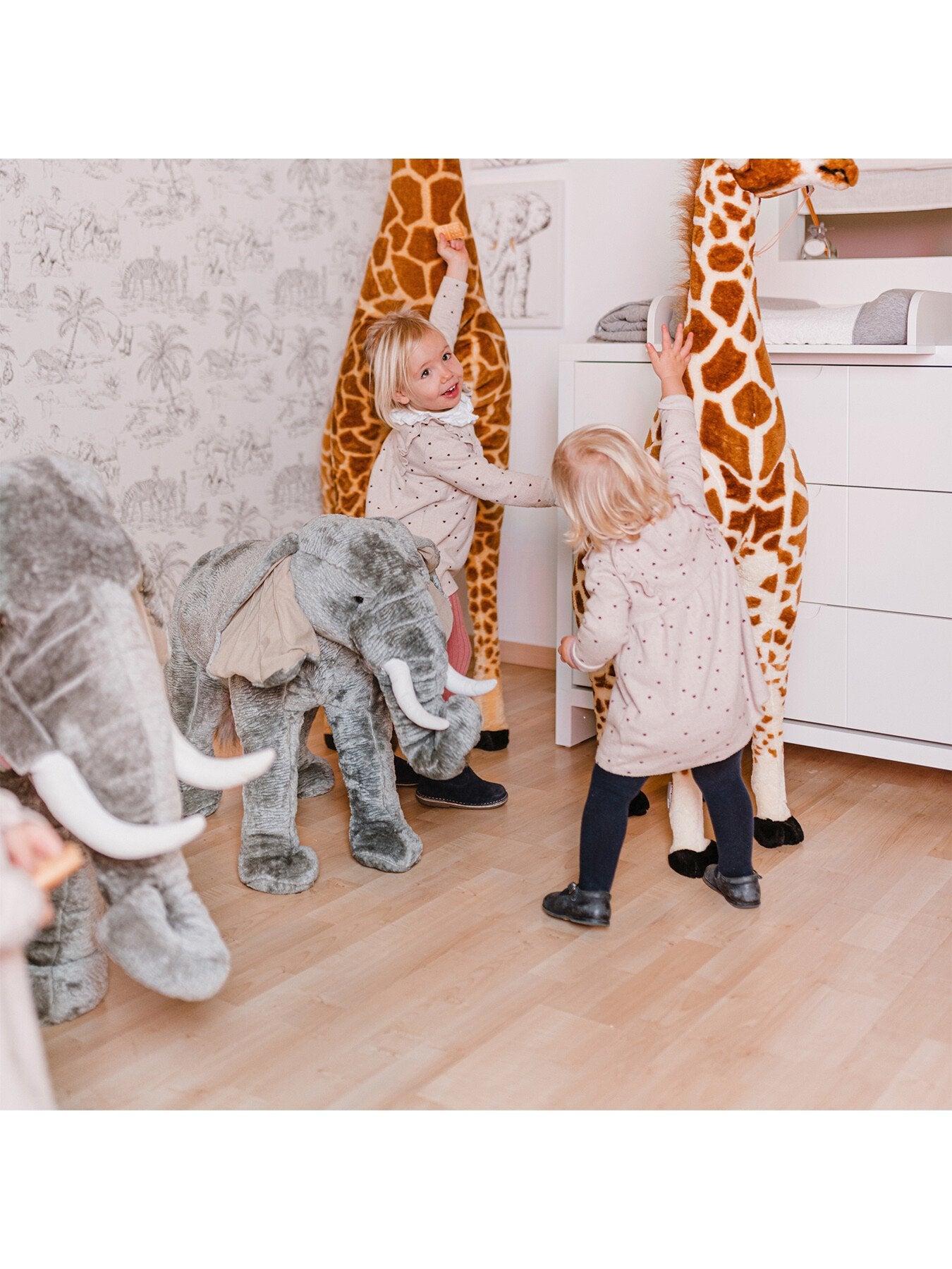 Small Elephant