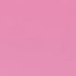 Pink Dragon