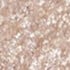 Moonstone
