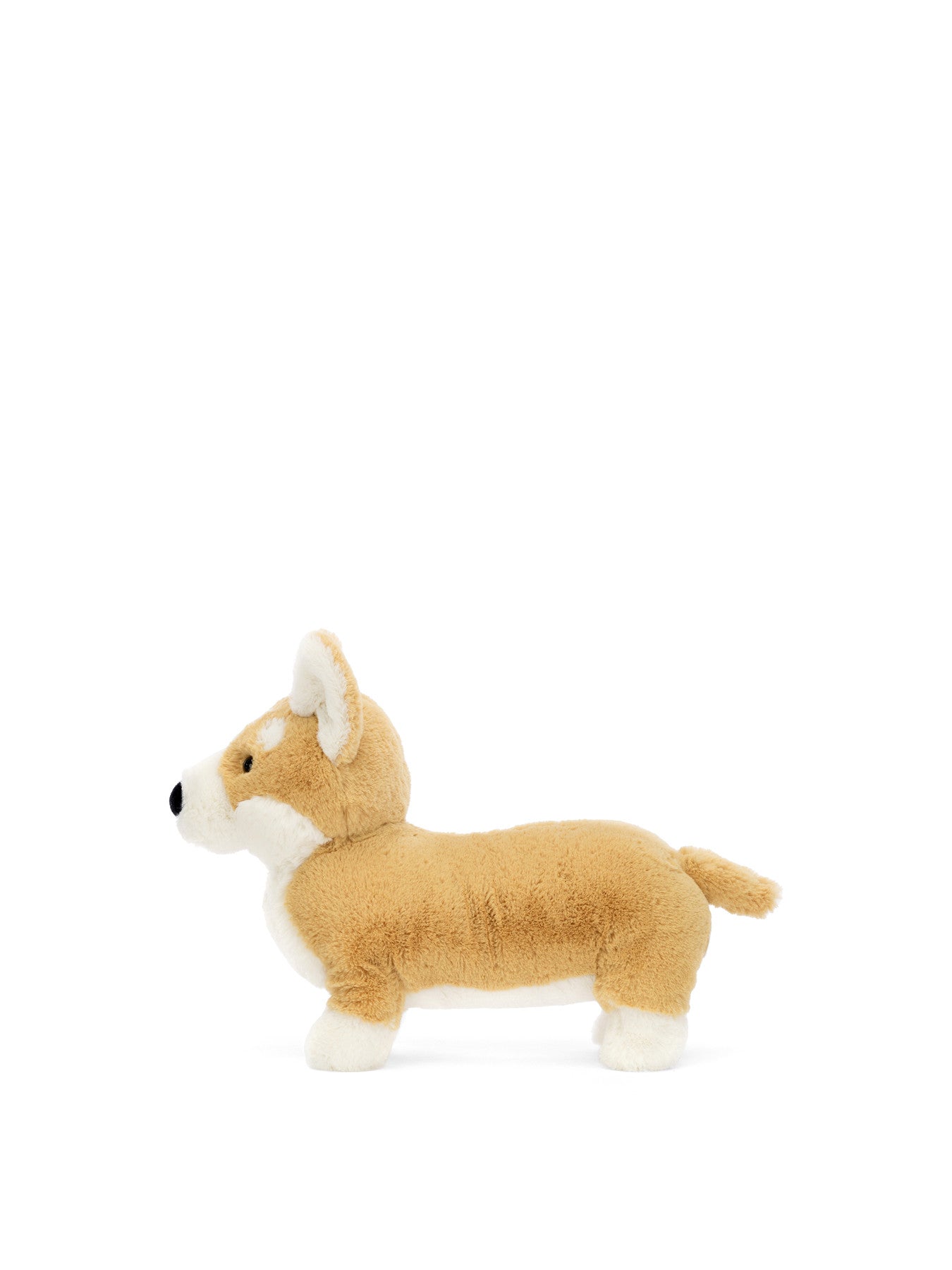 Betty Corgi