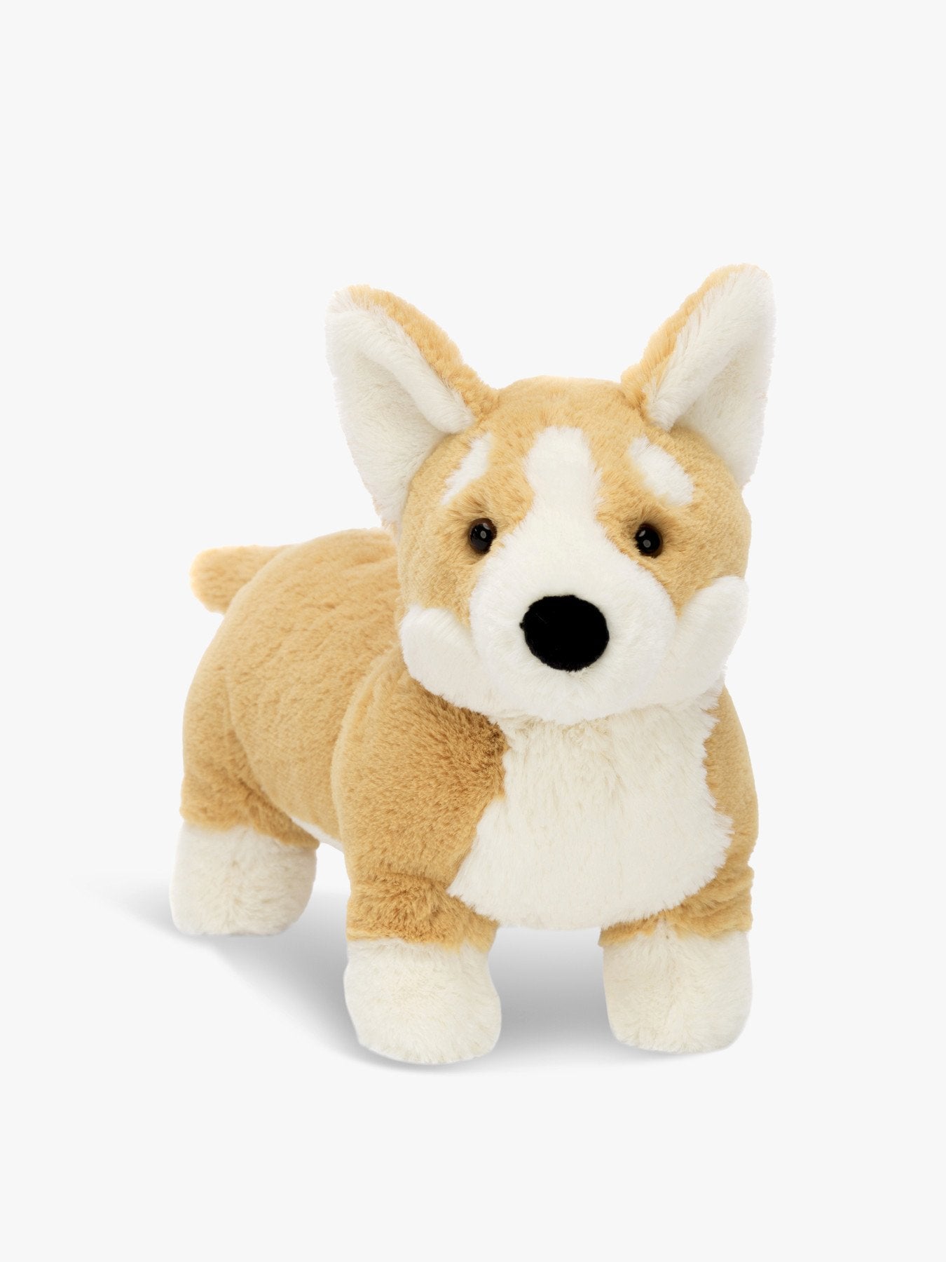 Betty Corgi
