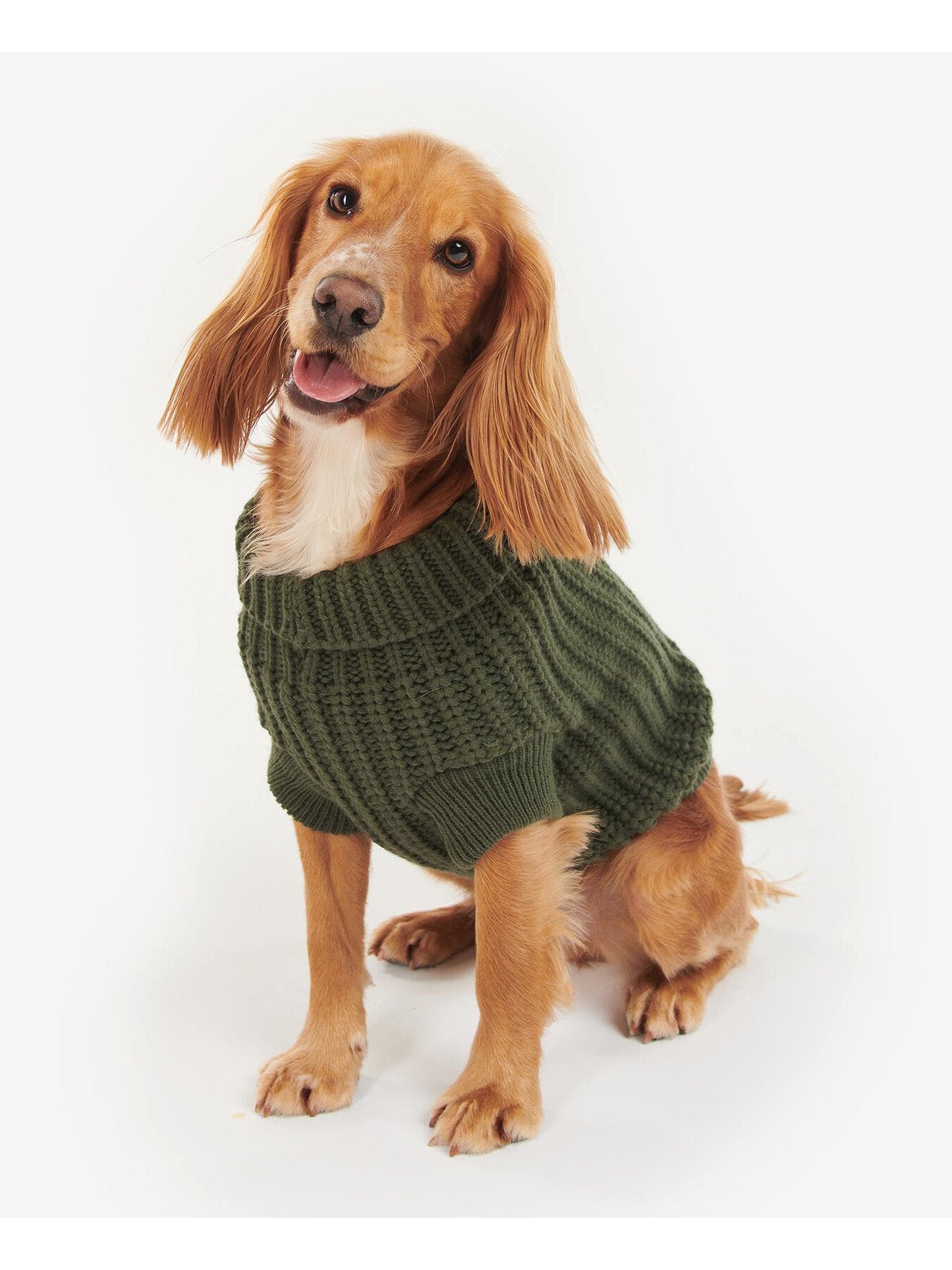Saltburn Dog Jumper