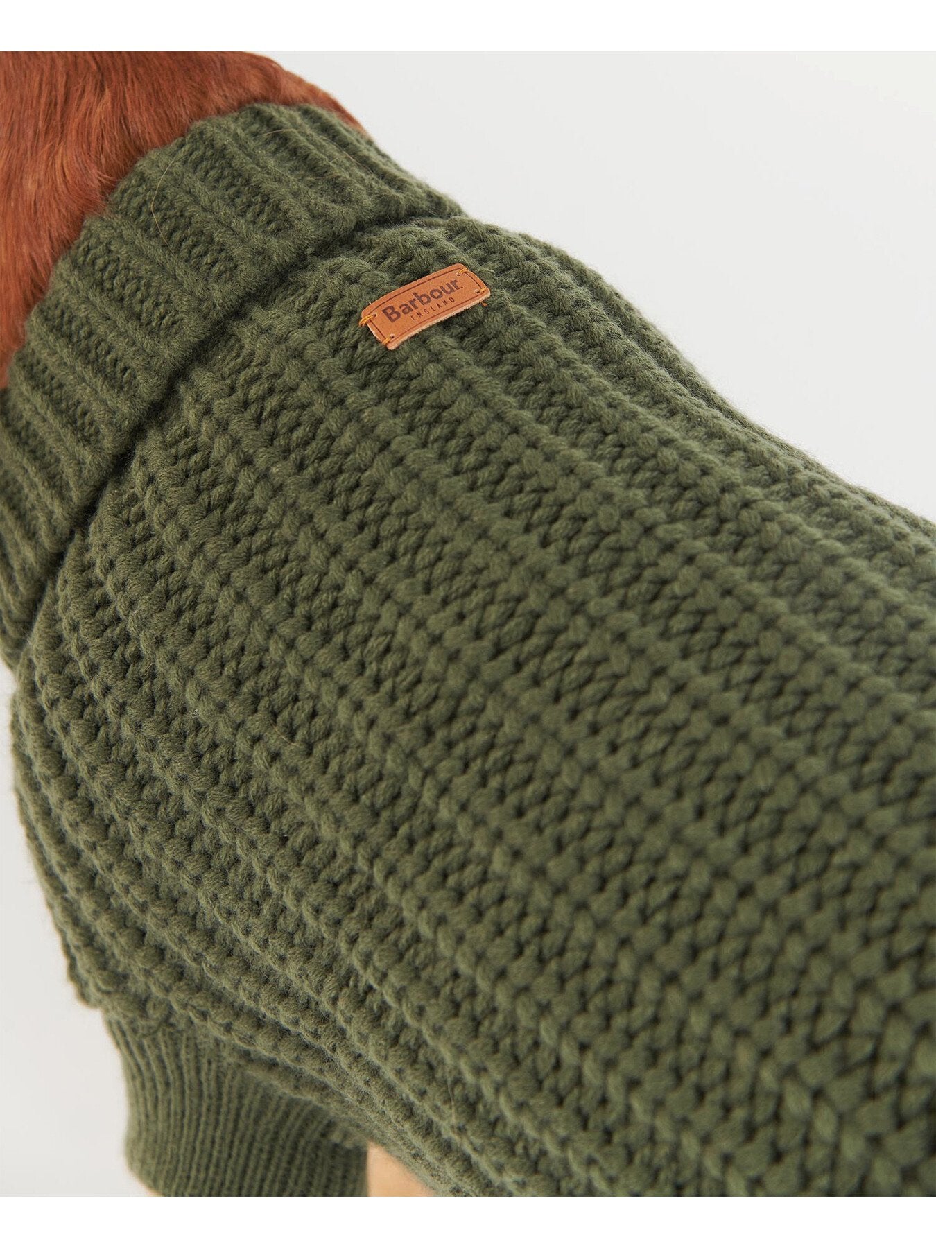 Saltburn Dog Jumper