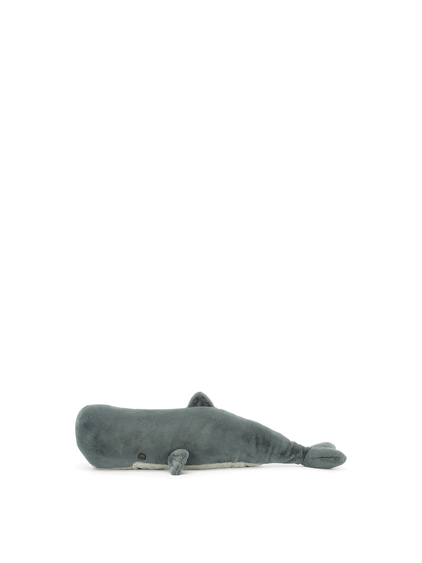 Sullivan the Sperm Whale