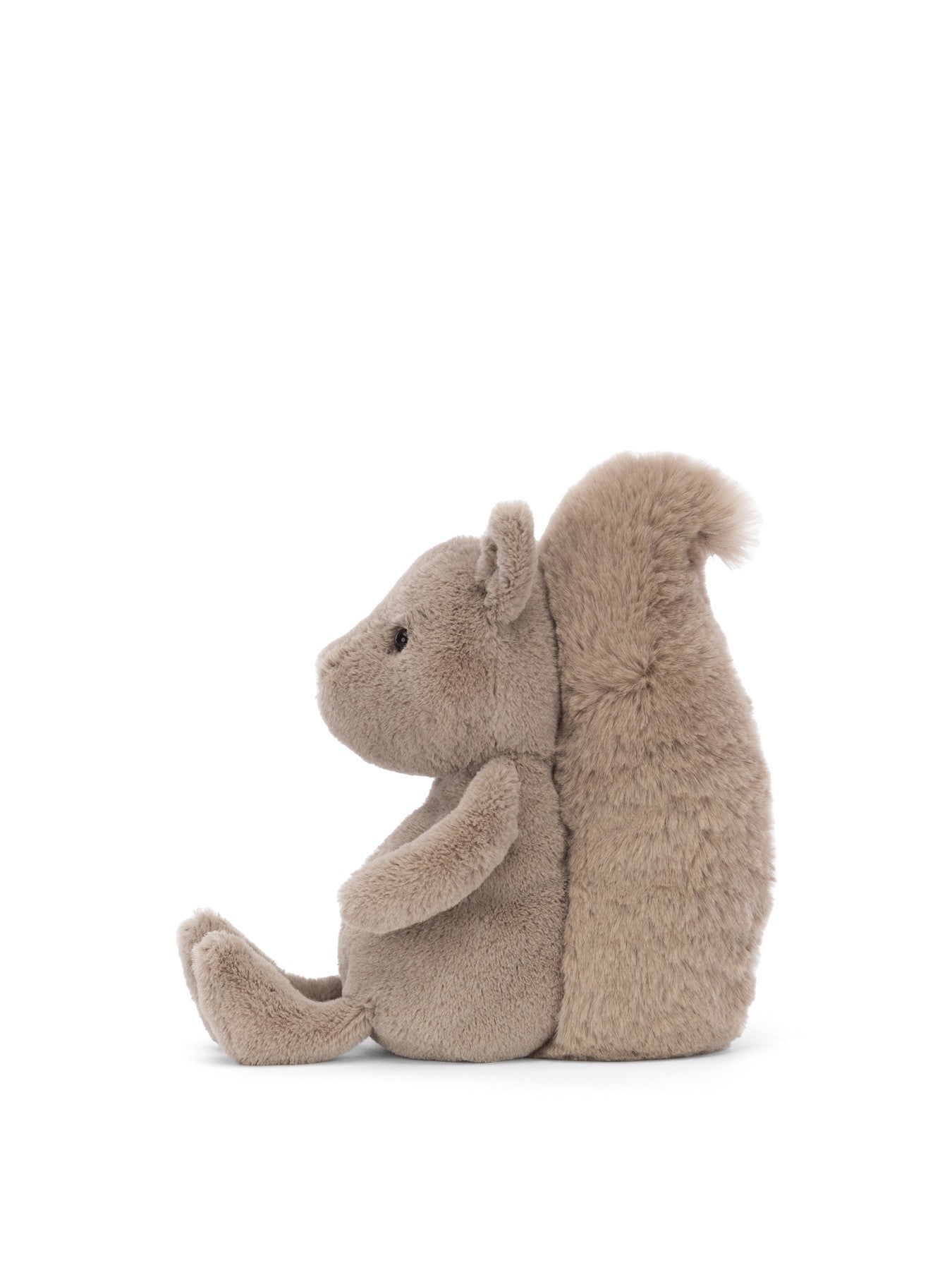 Willow Squirrel