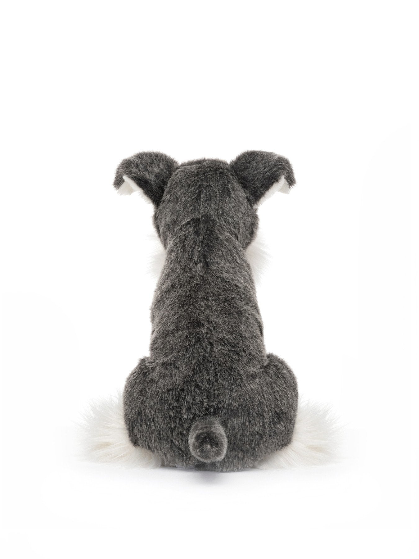 Lawrence Schnauzer