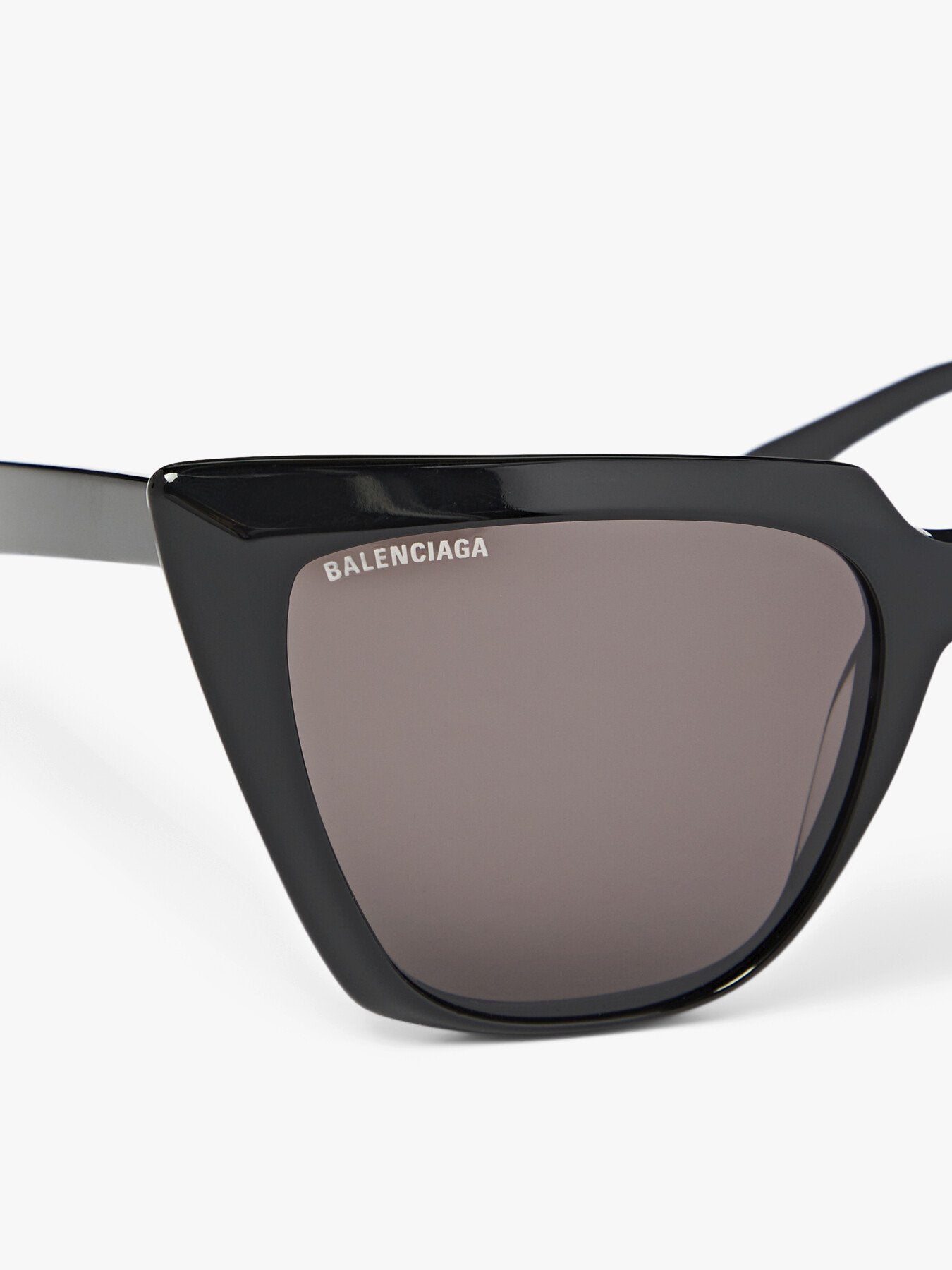 Oversized Cat eye Acetate Balenciaga Logo Sunglasses