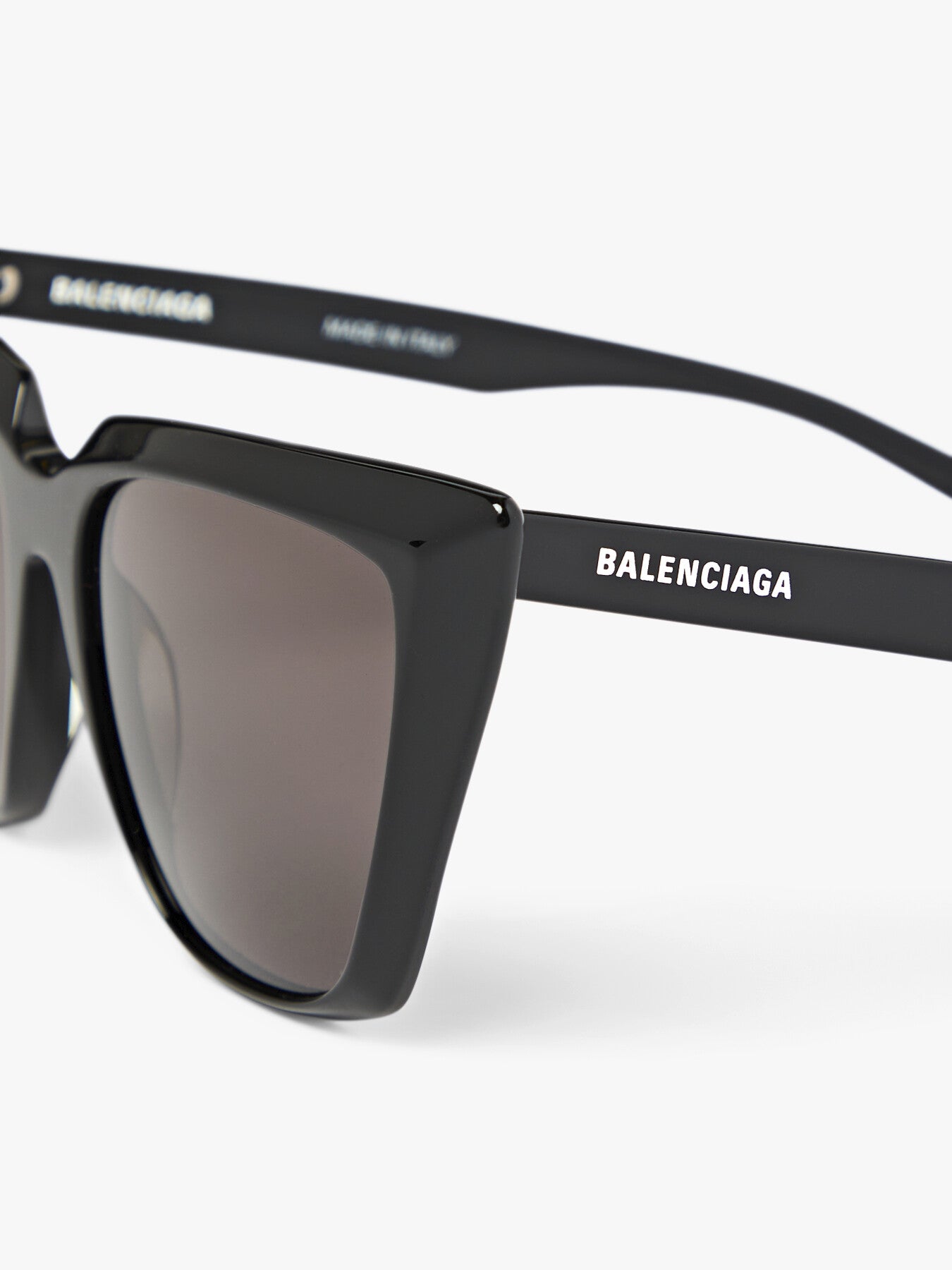 Oversized Cat eye Acetate Balenciaga Logo Sunglasses