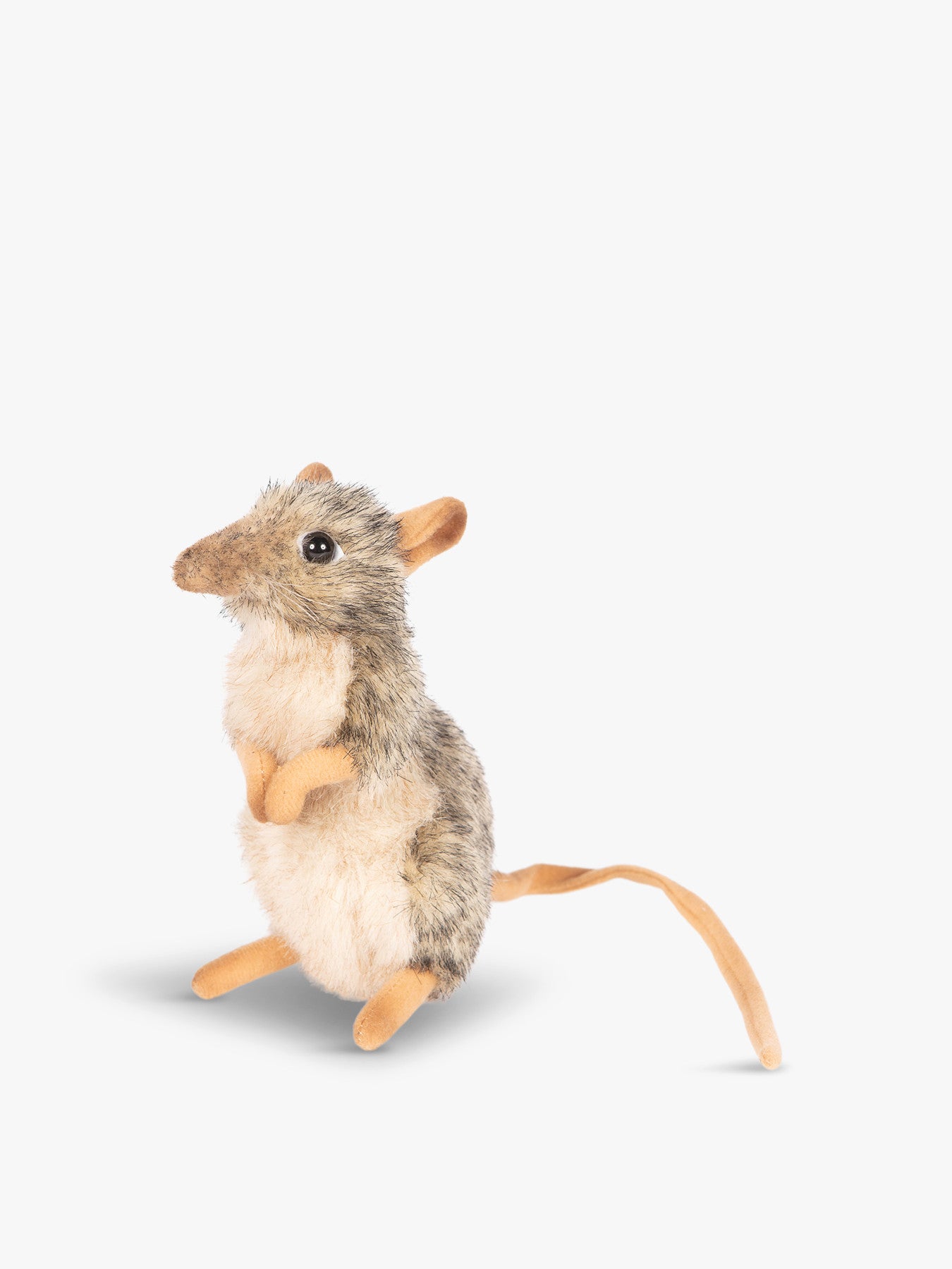 Elephant Mouse Sitting