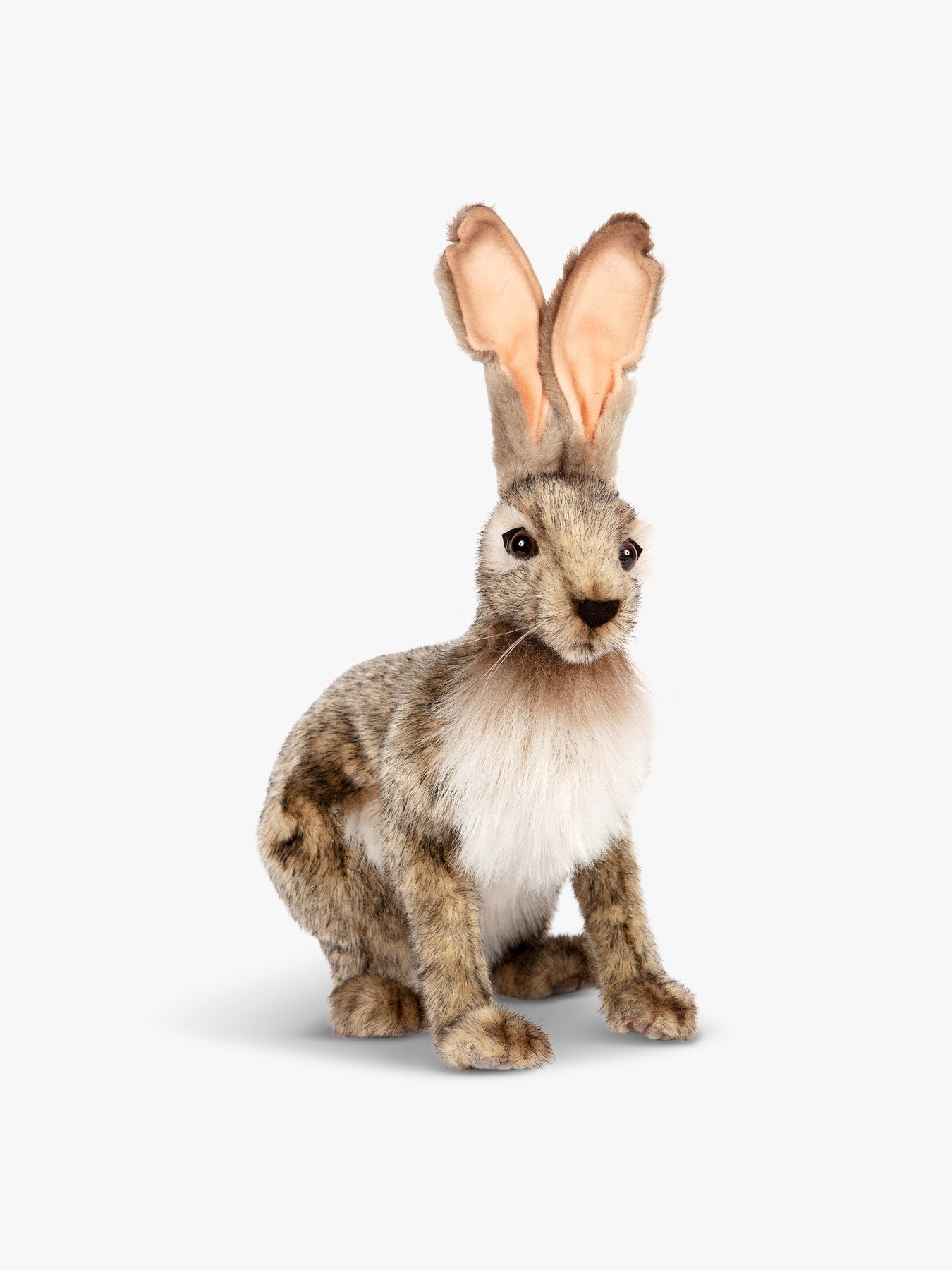 Jack Rabbit Large