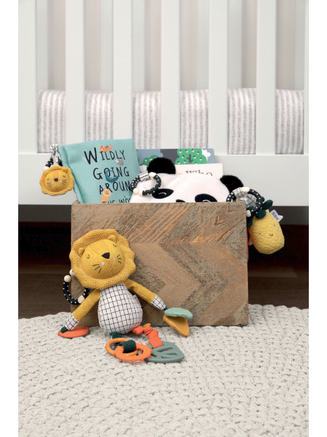 Wildly Adventures Educational Toy