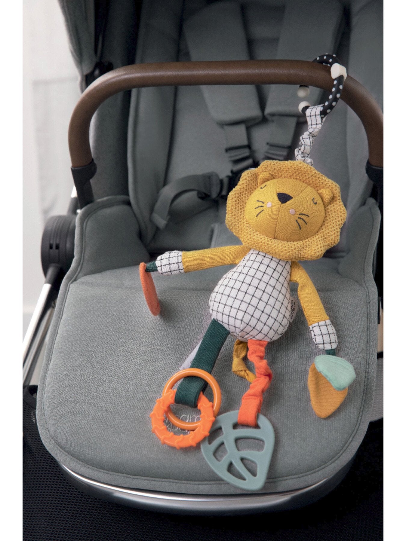 Wildly Adventures Educational Toy