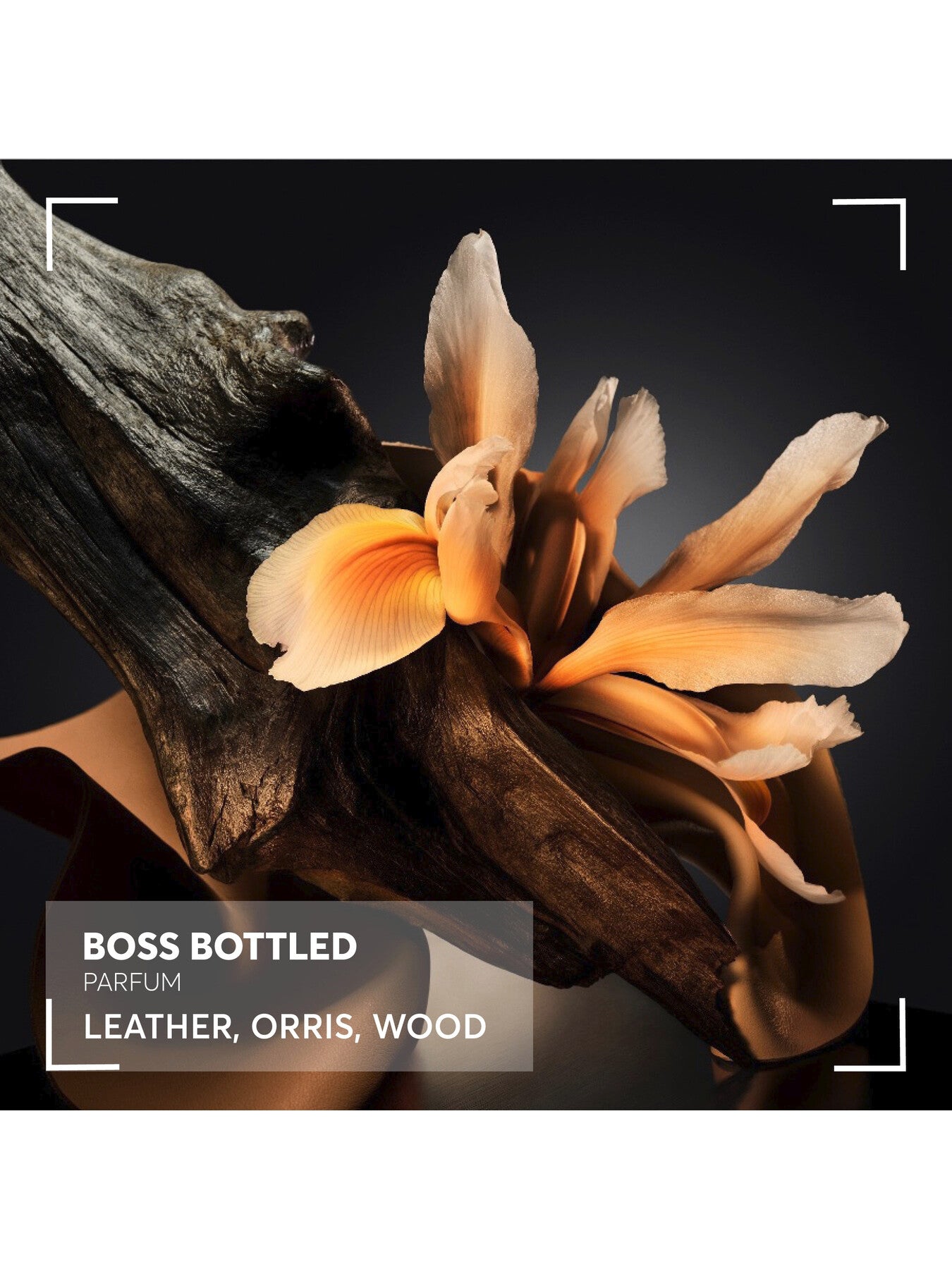 Boss Bottled Parfum 200ml