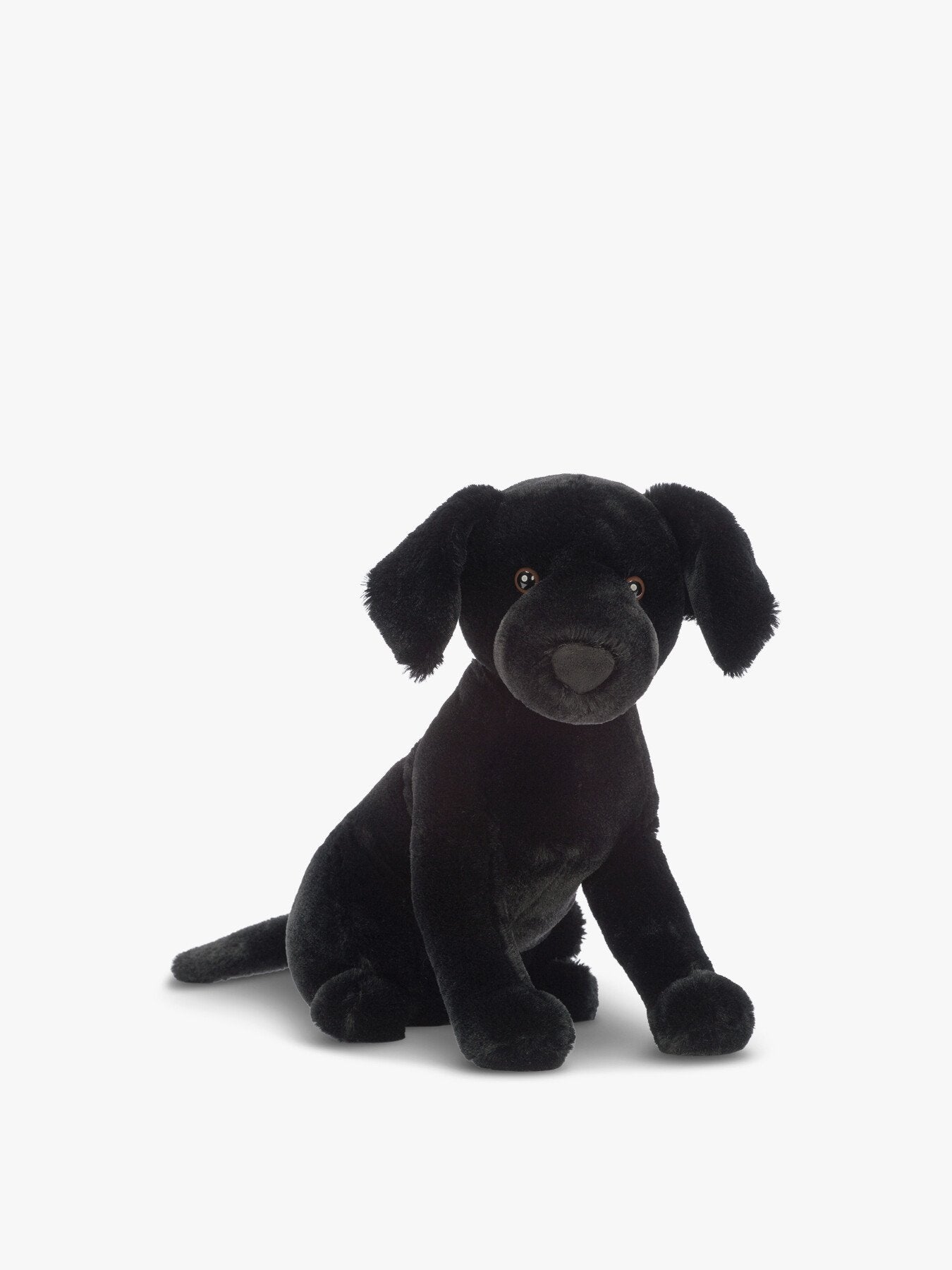 Pippa Black Labrador