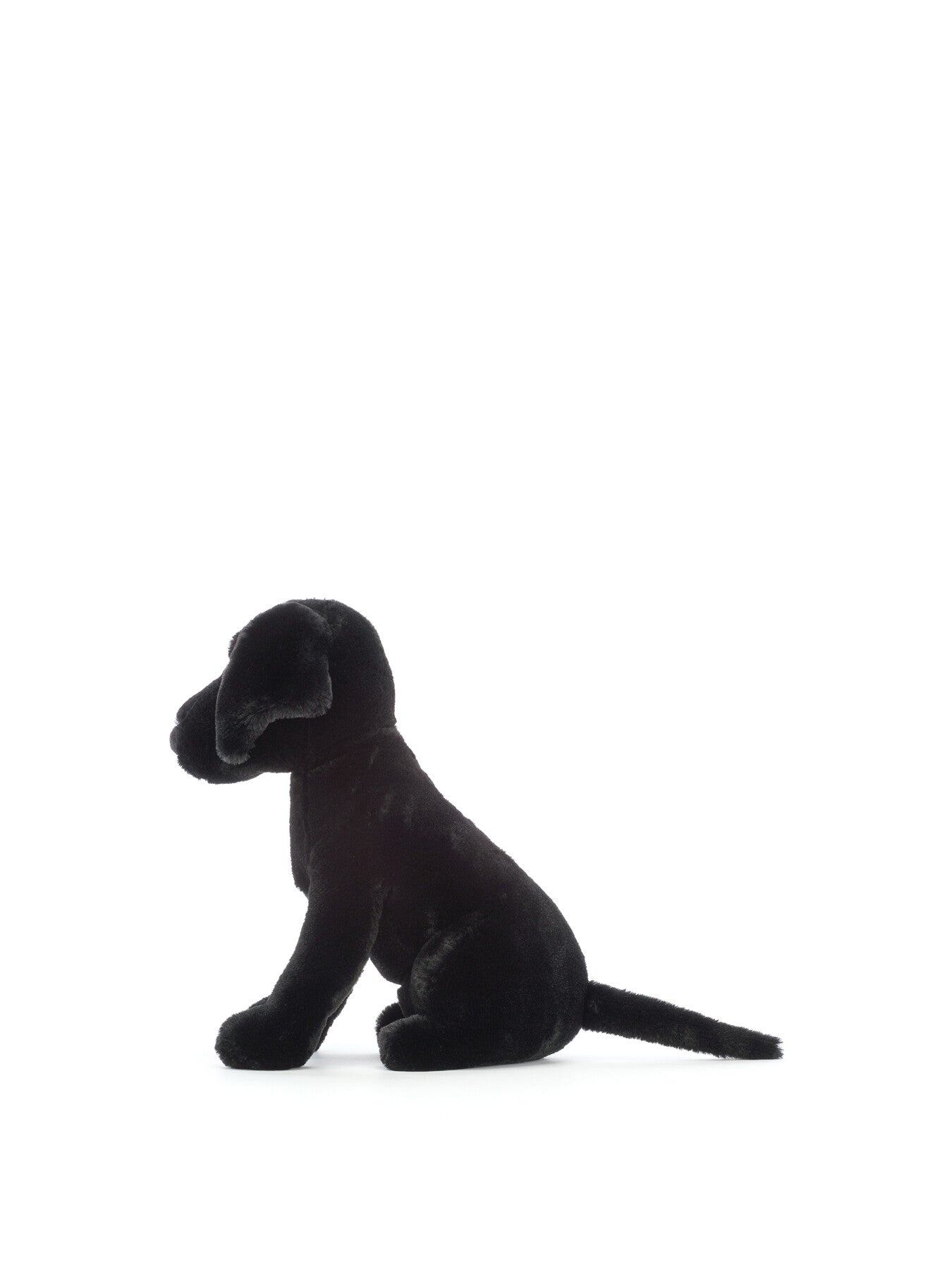 Pippa Black Labrador