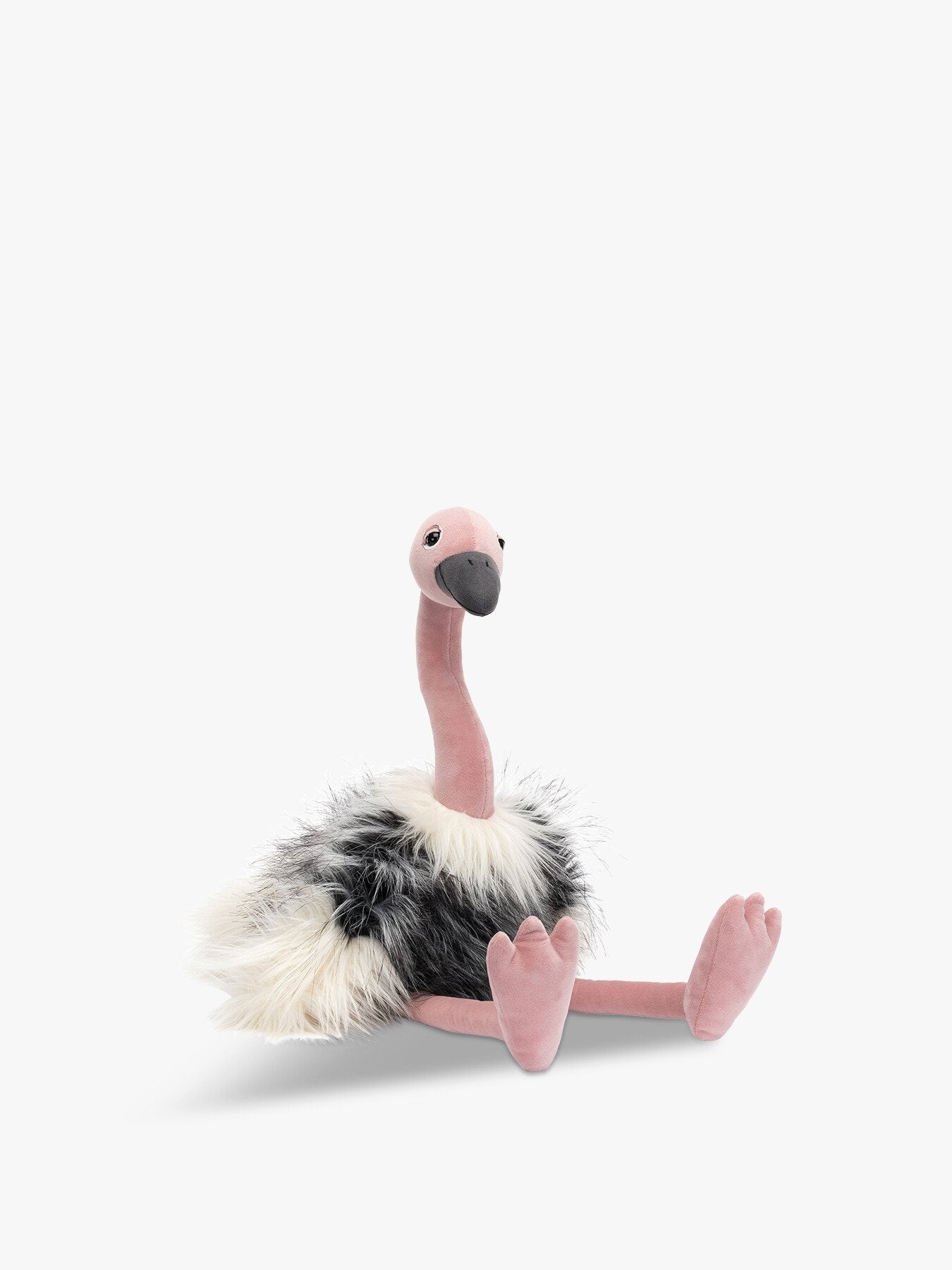 Ramonda Ostrich