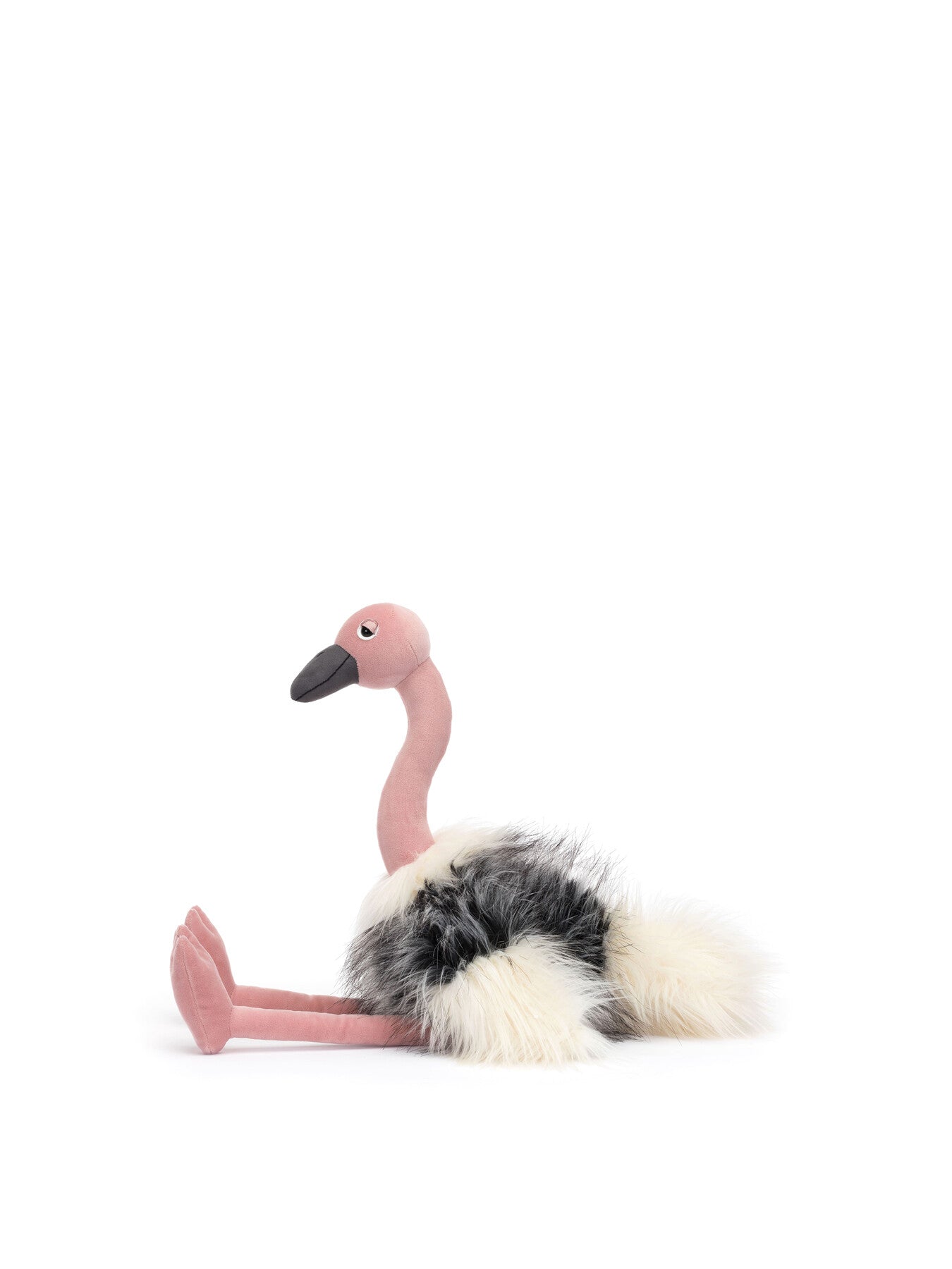 Ramonda Ostrich