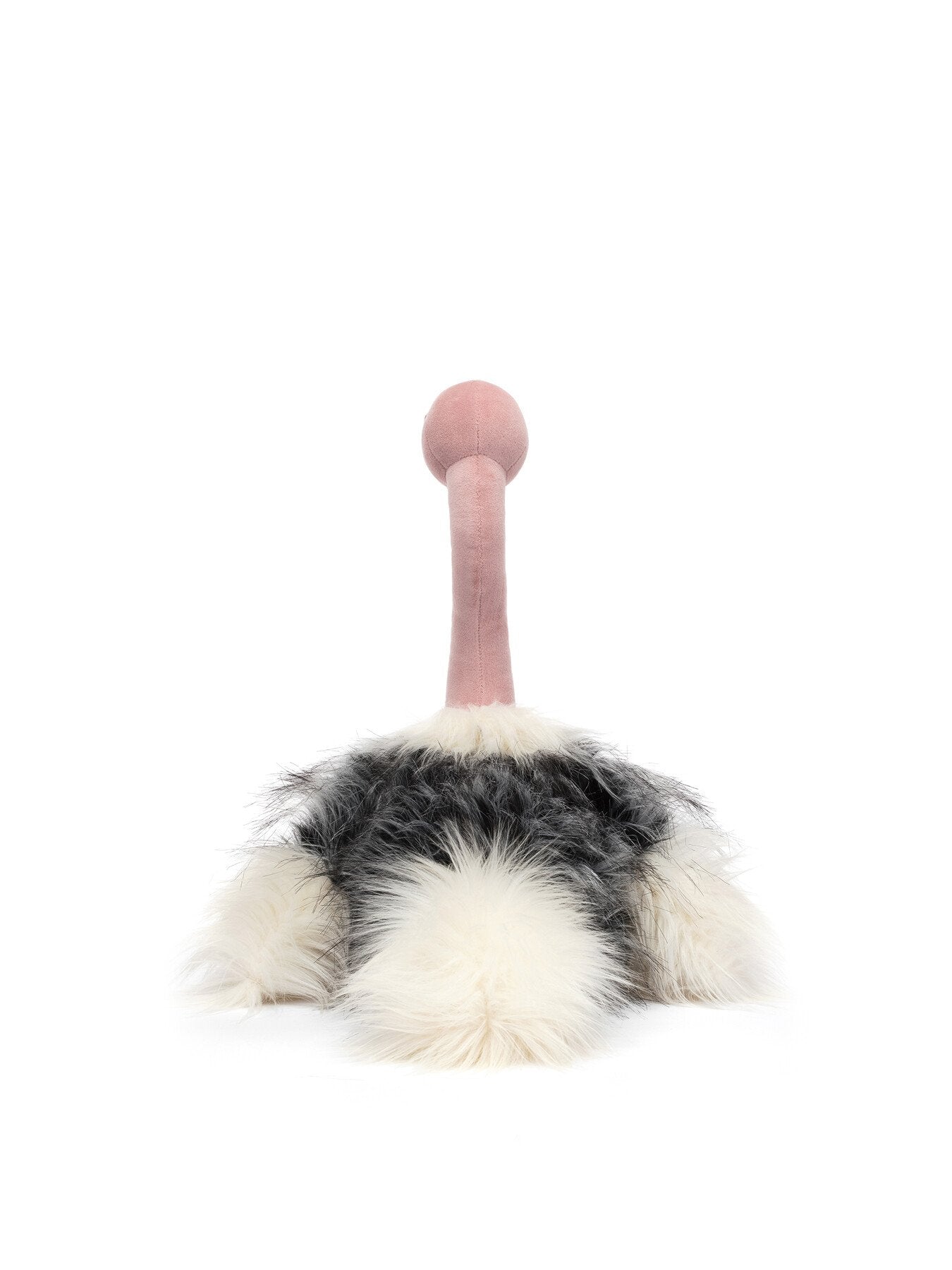 Ramonda Ostrich