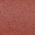 b4/tan rust