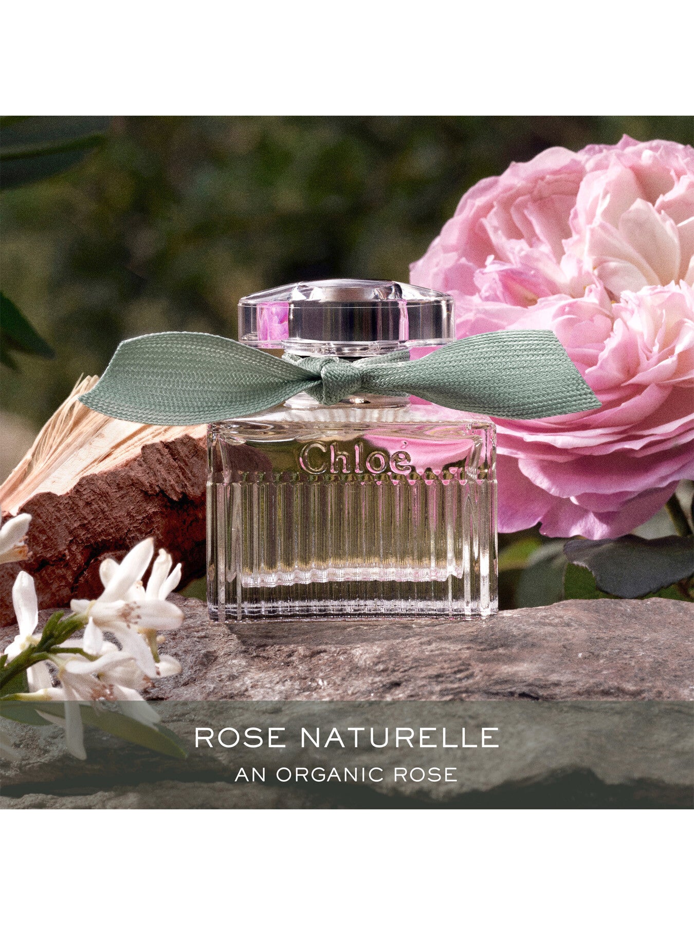 Chloe Signature Naturelle EDP 150ml Refill