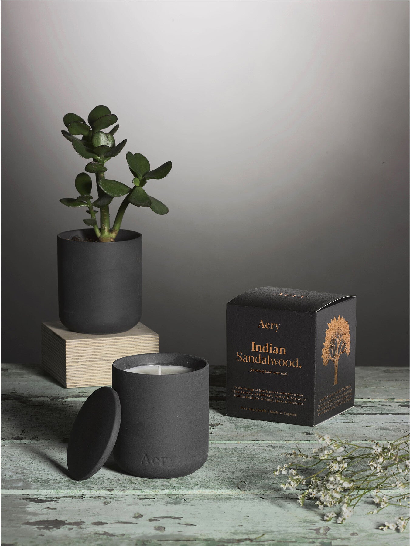 Indian Sandalwood Fernweh Candles
